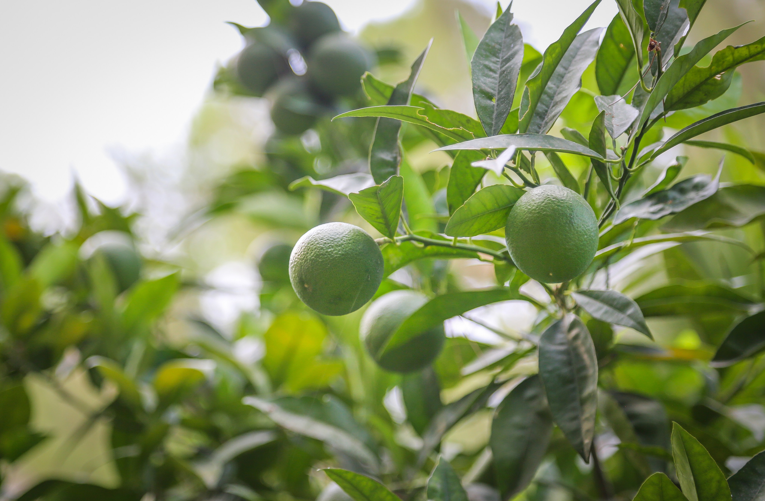 Испания: Мурсия и Арчена — взгляд с дистанции. Дарья Письменюк / Darya Leitstern — фотограф, музыкант, журналист, путешественник