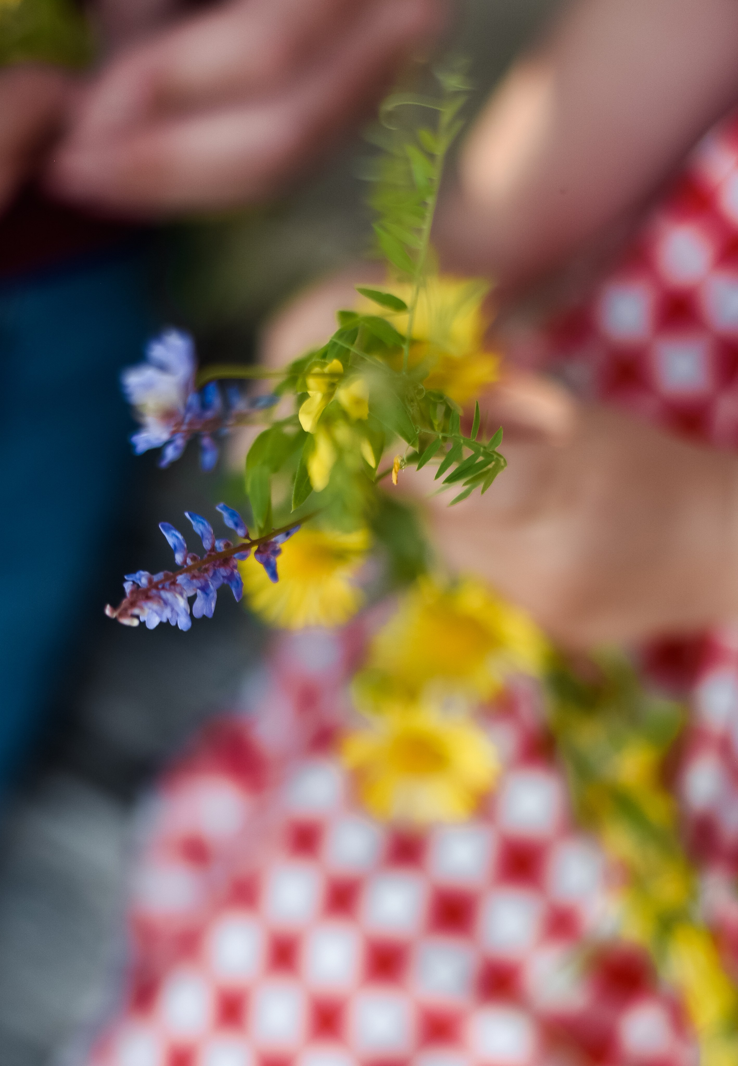 Семья Любочки, Максима и Машеньки