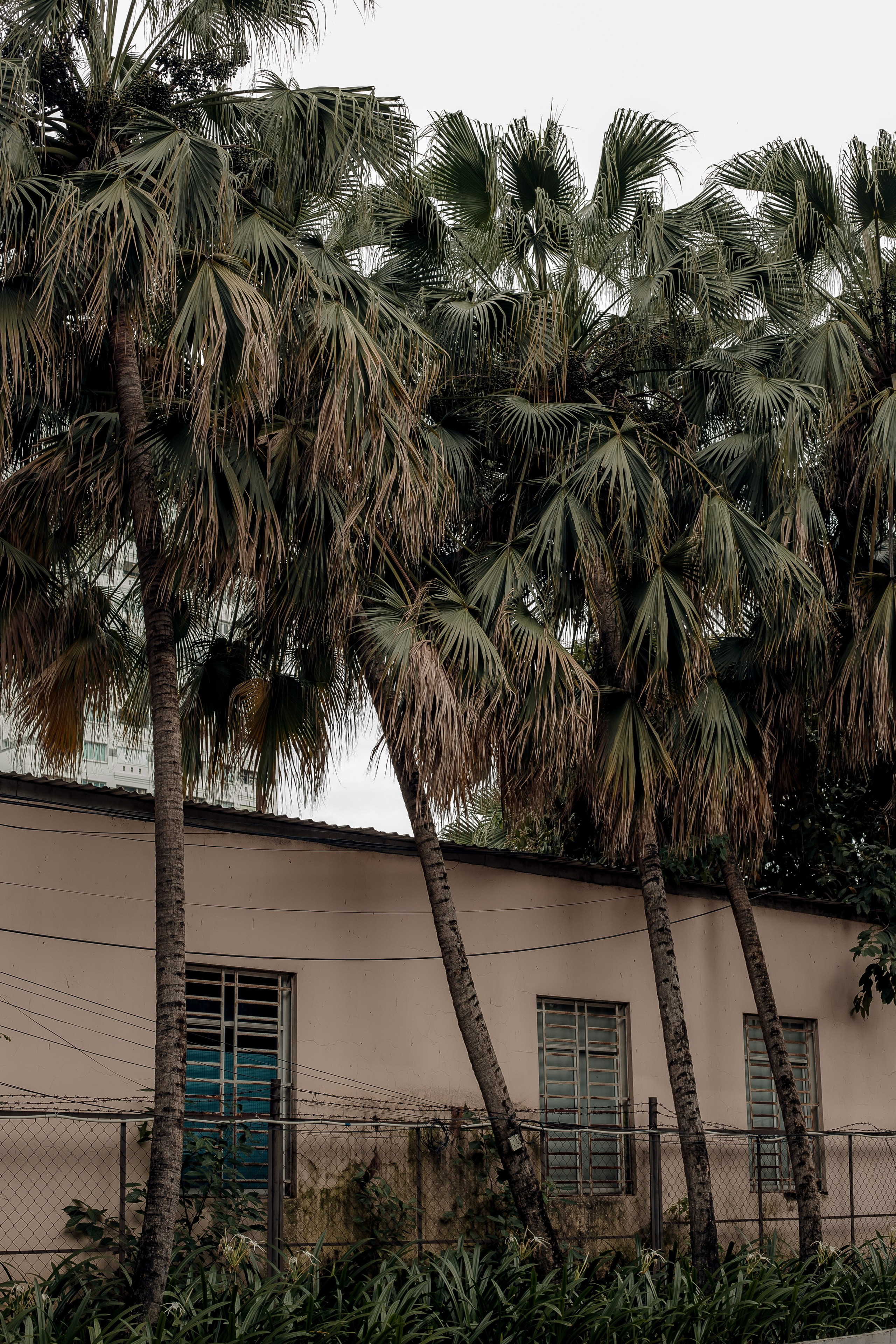 Ho Chi Minh, Vietnam | Part 1| 2025. Art Photographer