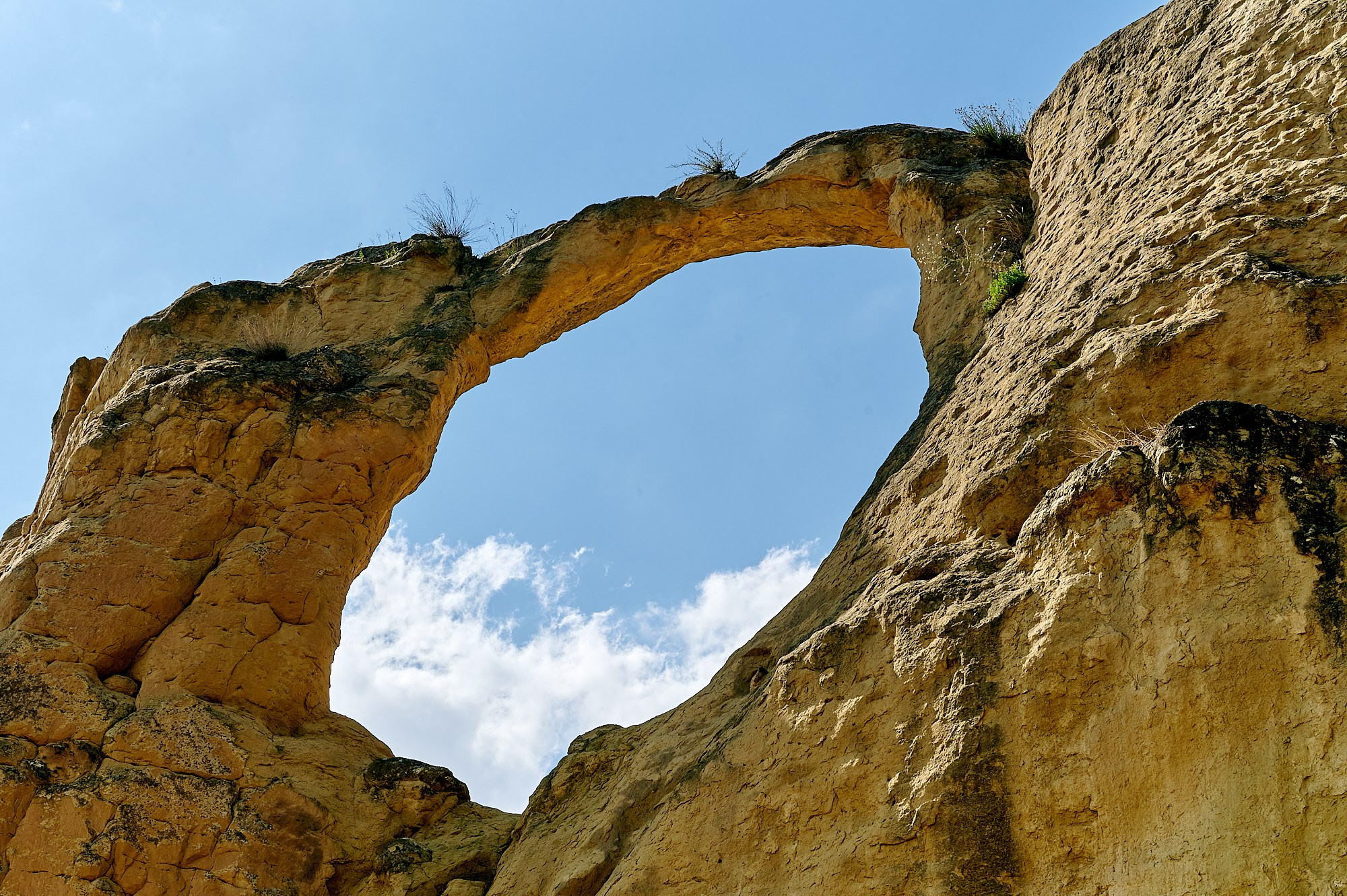 Кисловодск, Россия. Август 2024. Фотографии отовсюду и обо всем