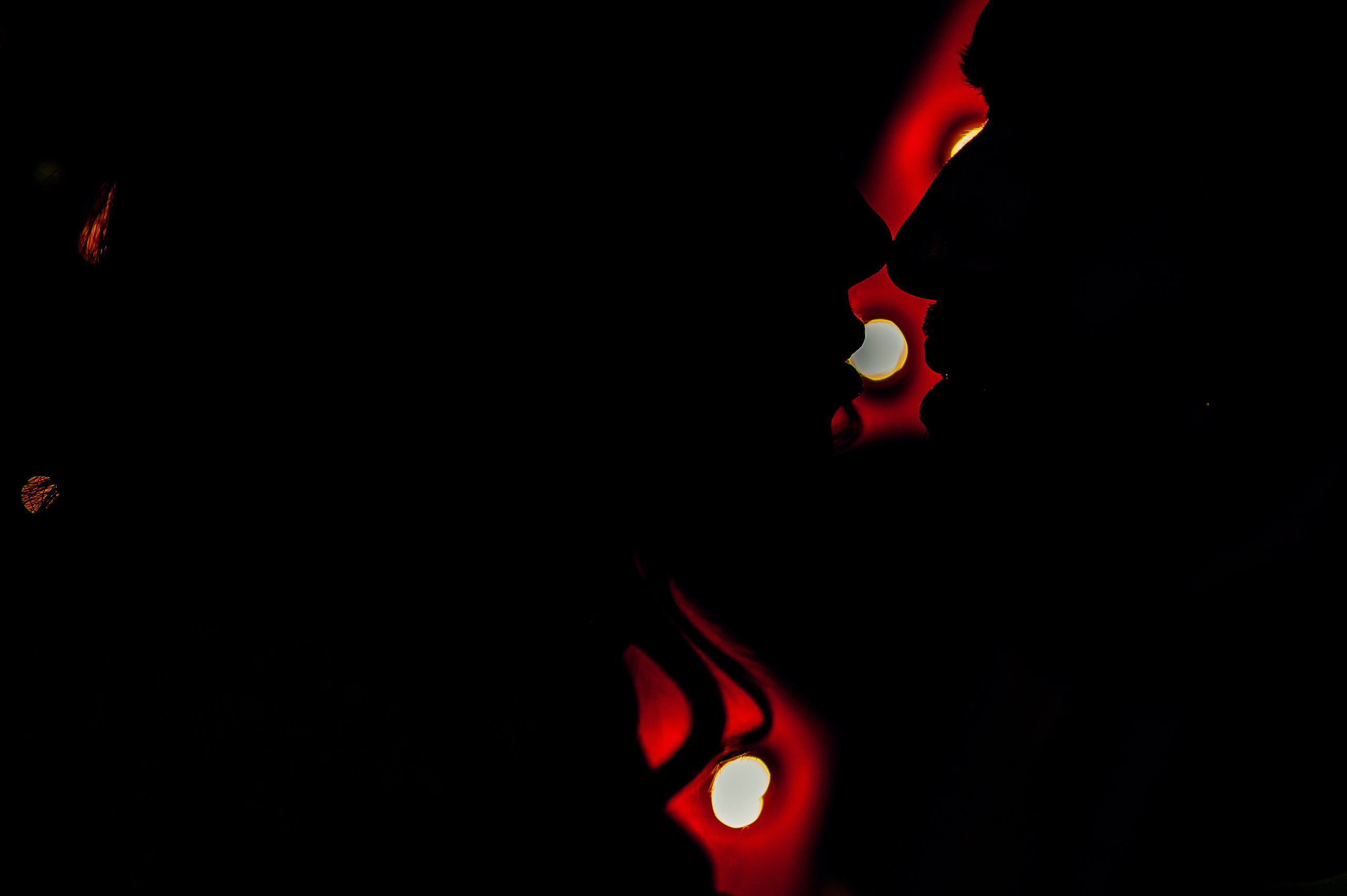 Свадебный фотограф в Москве Алексей Тук