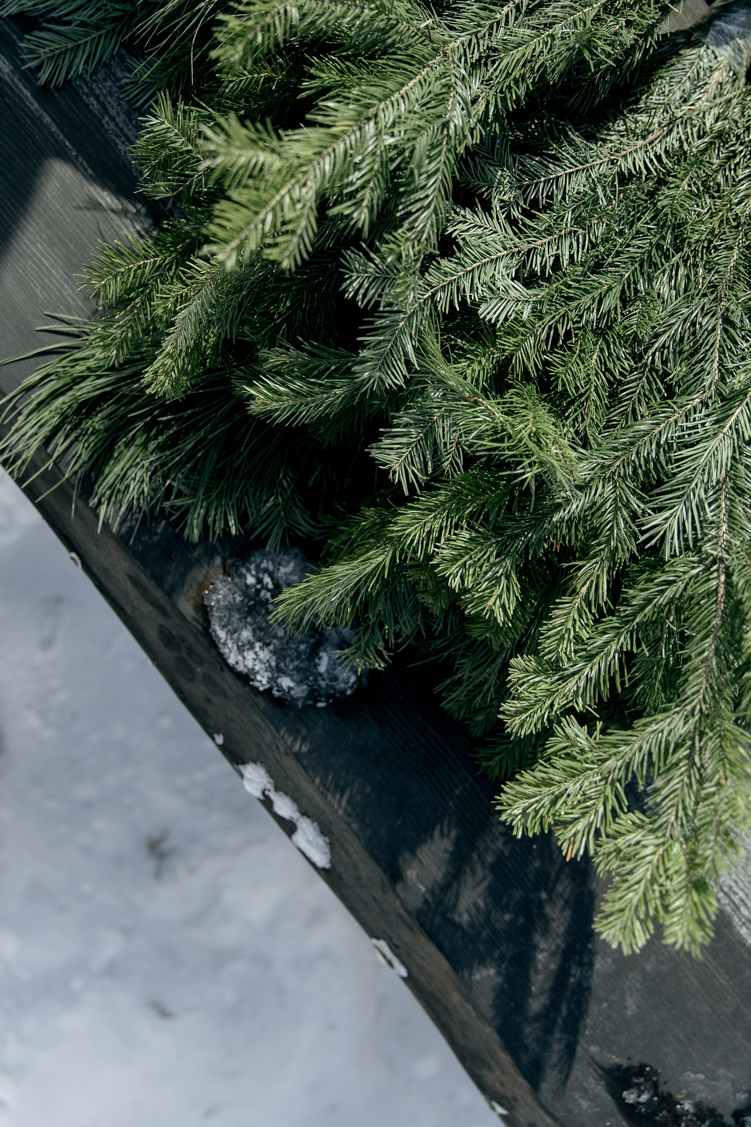 ДЕНЬ ДОЖДЕНИЯ ЕКАТЕРИНЫ. Фотограф в Красноярске