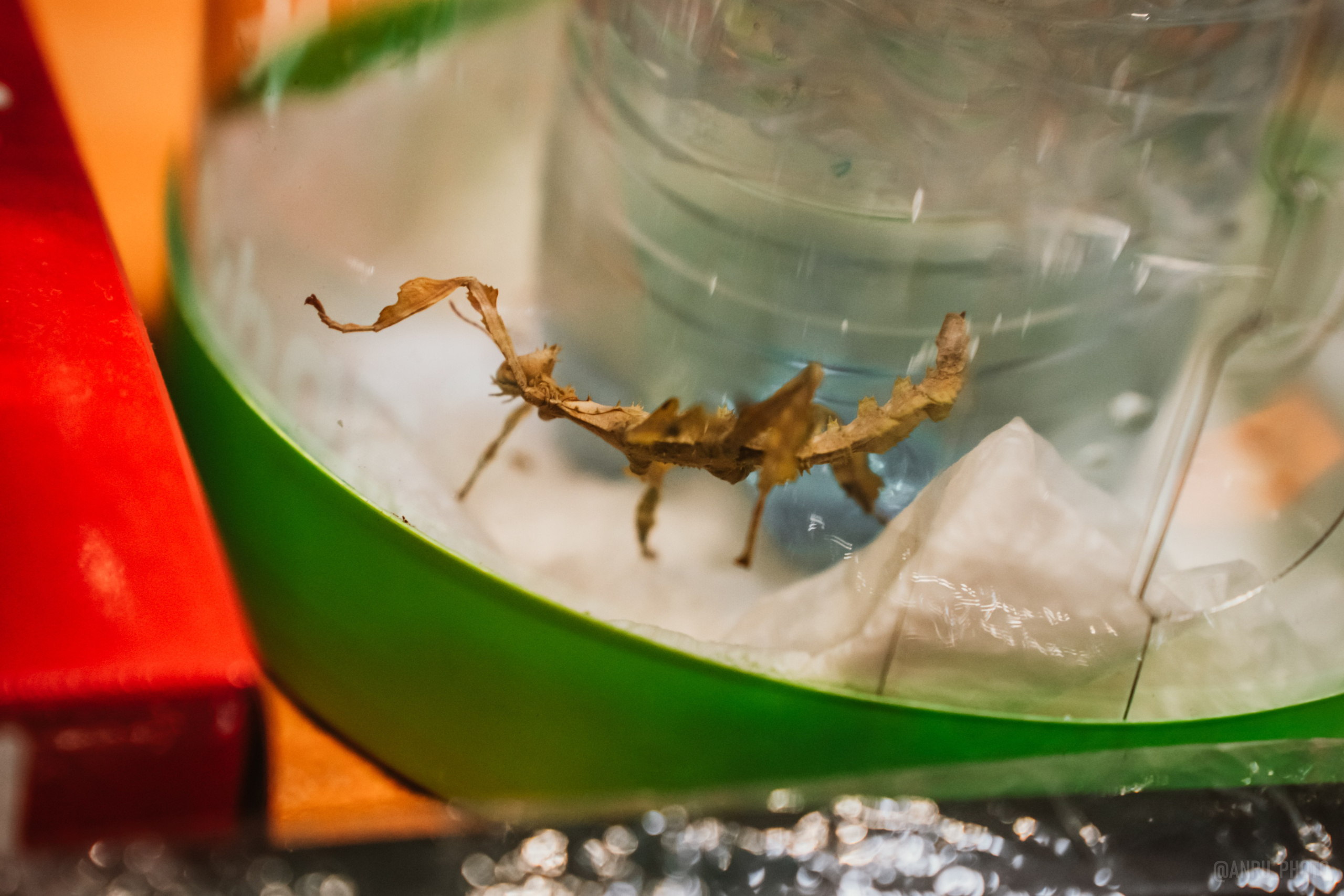 Рептилиум. Репортажный фотограф Анастасия Рубцова