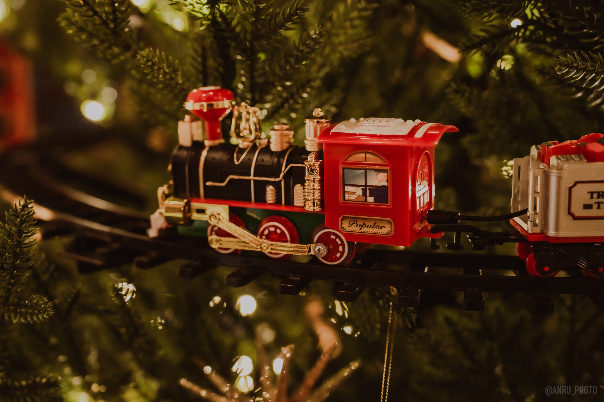 День Альфреда Хичкока. Репортажный фотограф Анастасия Рубцова