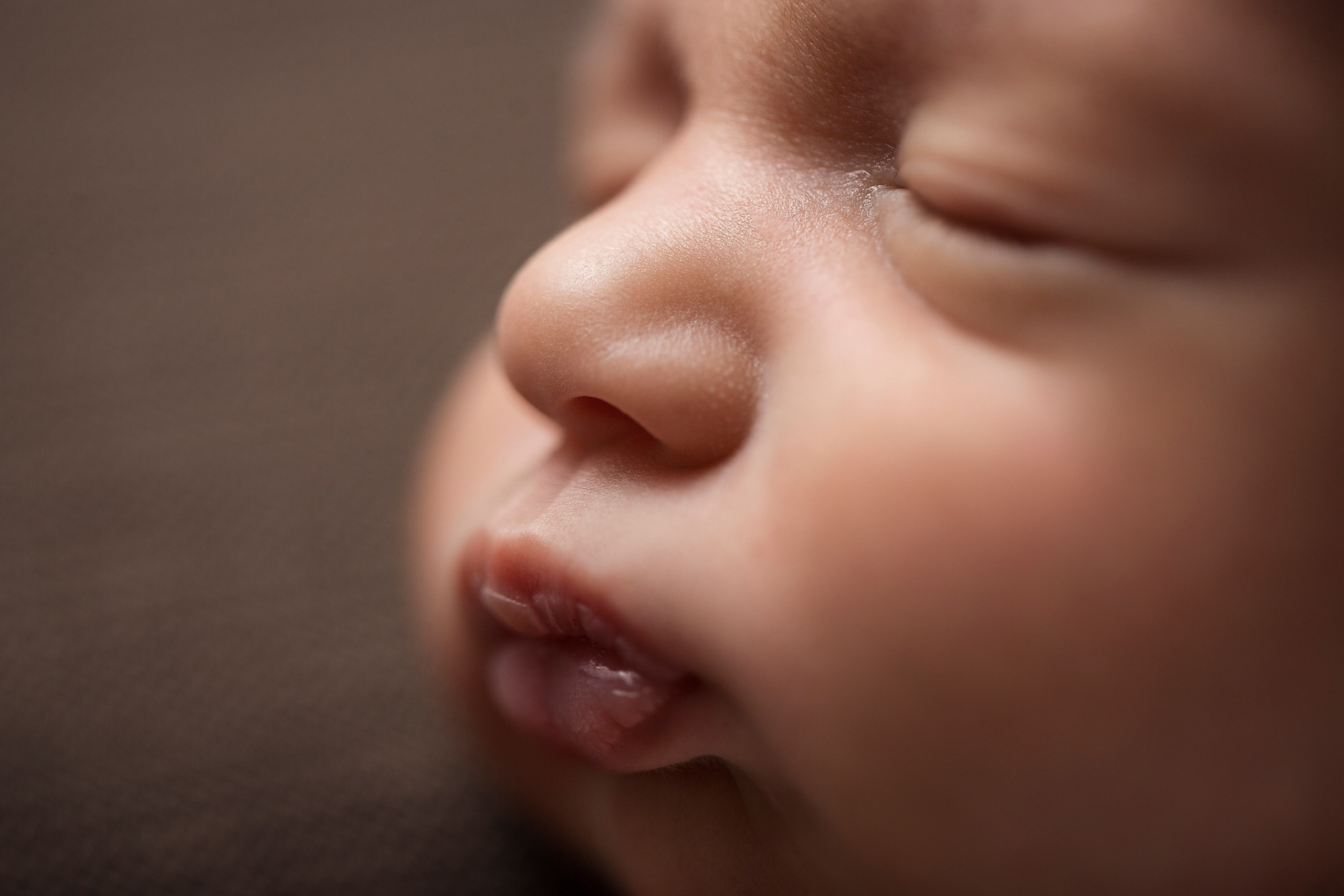 Chocolate. Фотограф новорожденных, семейный фотограф в Санкт-Петербурге