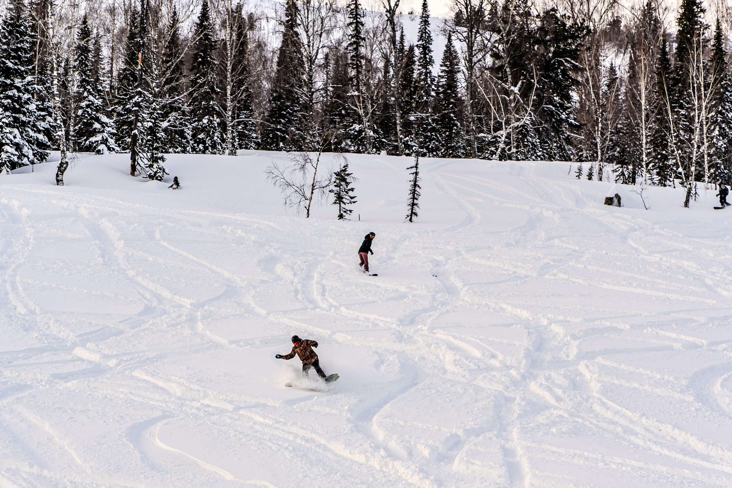 Mountain Patrol. Анастасия Паршукова — фотограф Шерегеш Новосибирск