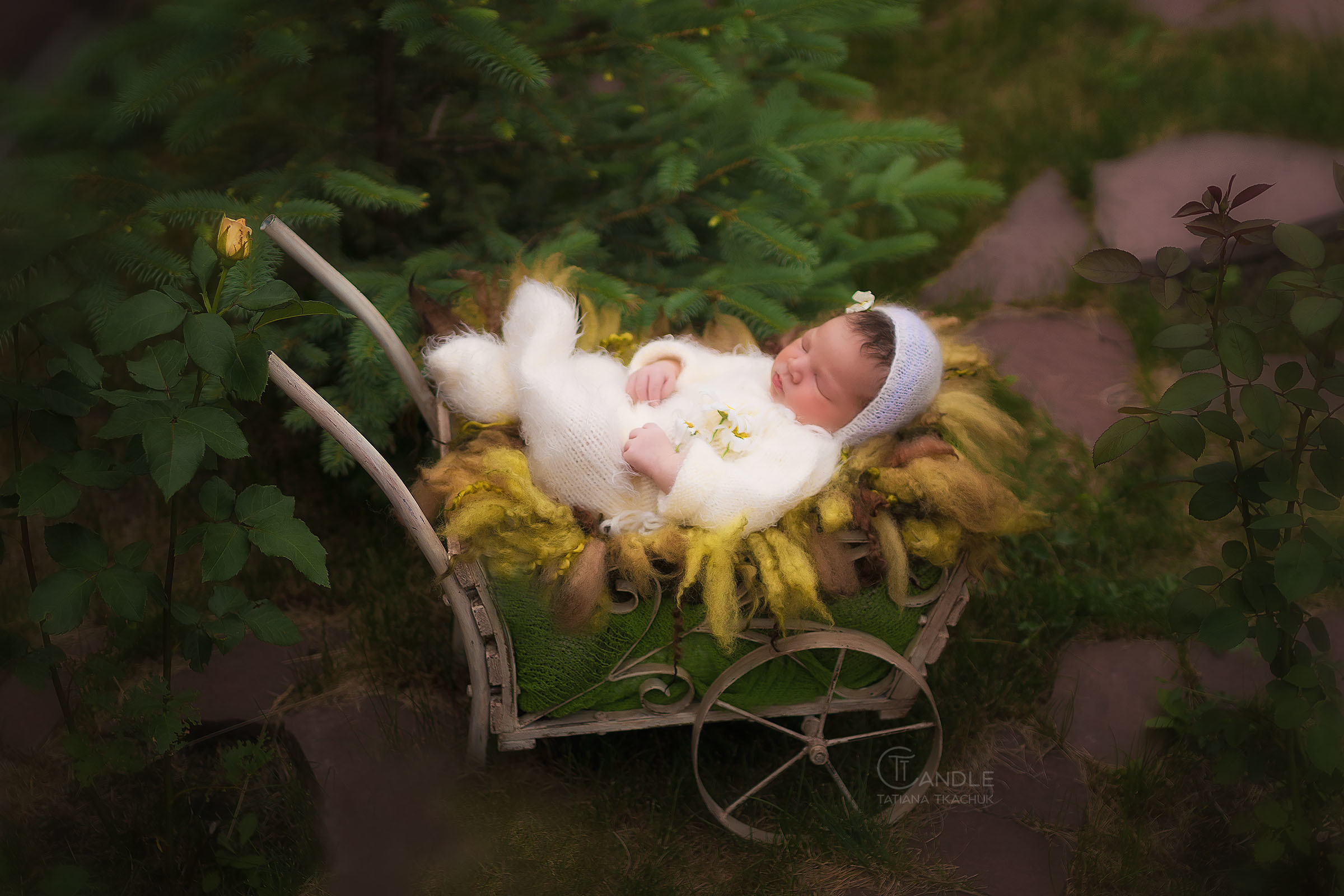 Новорожденные. Фотограф новорожденных беременных в Тюмени Ткачук Татьяна