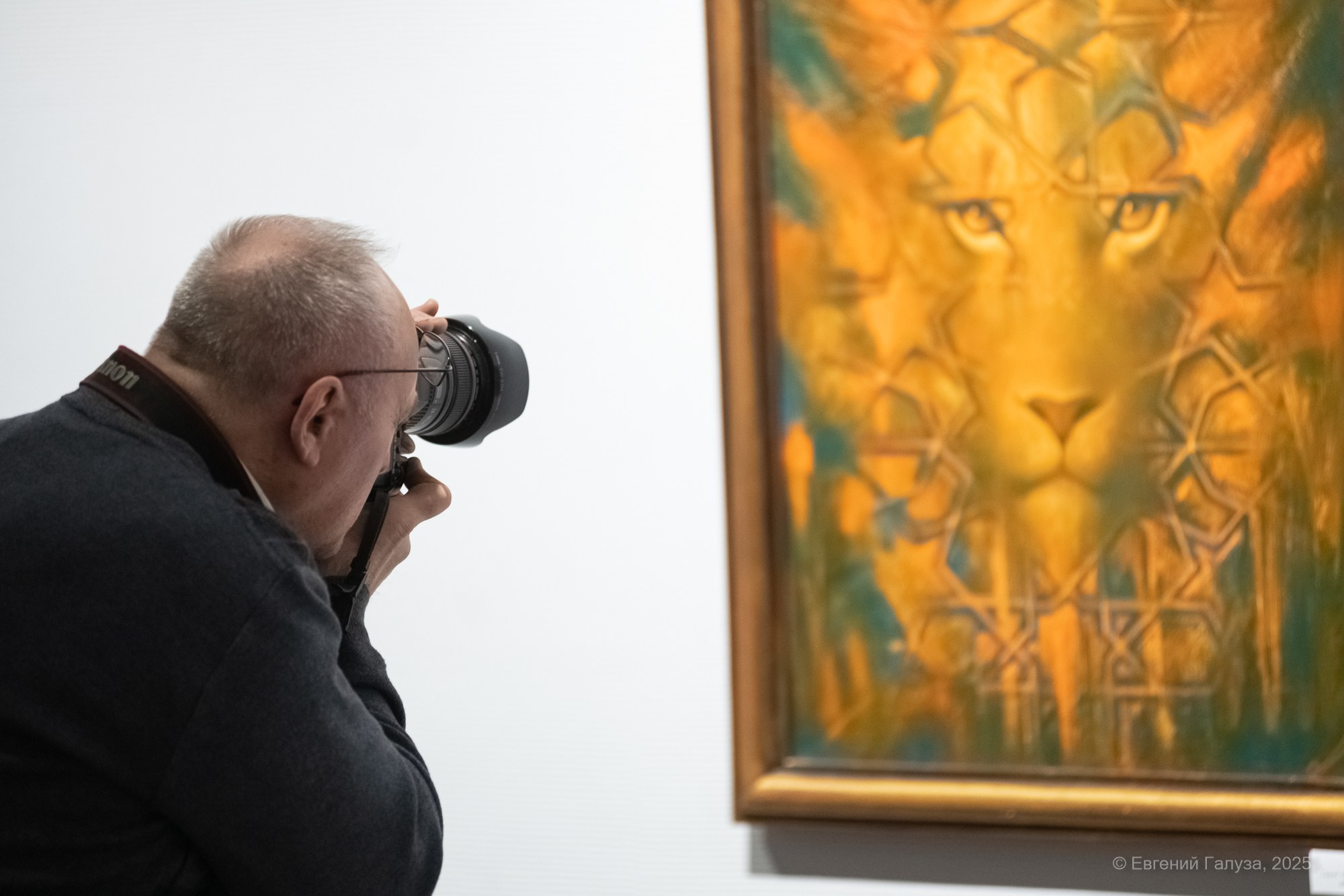 Выставка Игоря Елисеева. Репортажный фотограф г. Чита