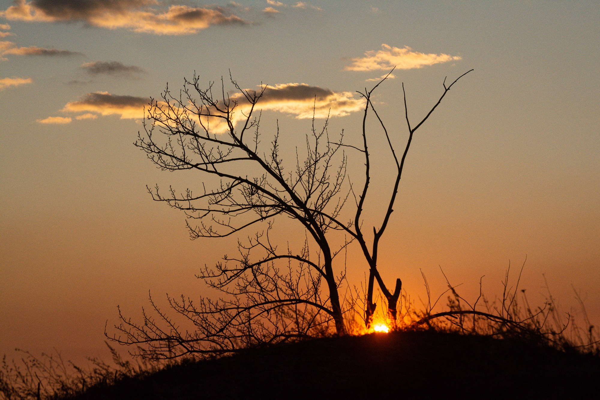 Разное. Репортажный фотограф г. Чита