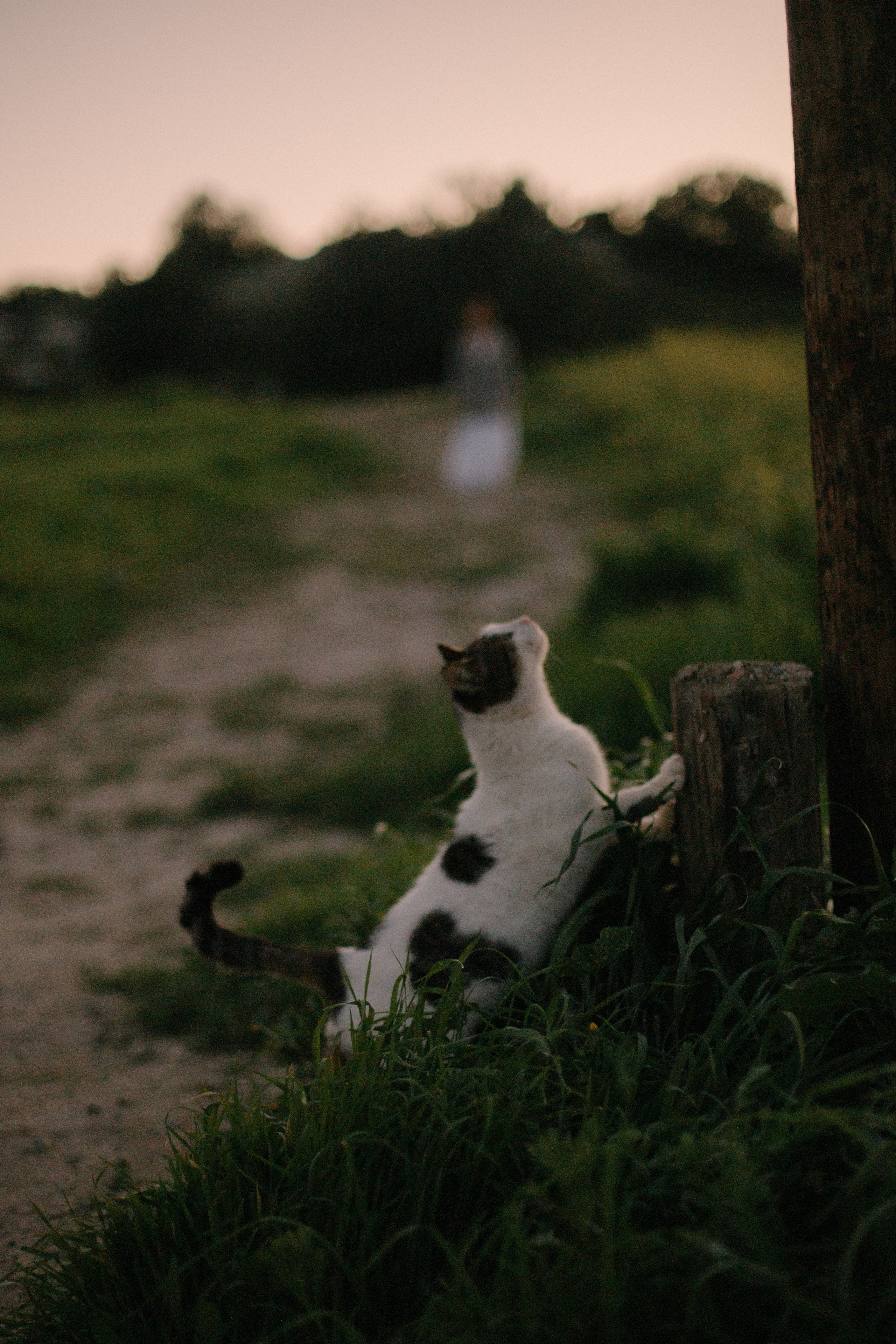 Veta. Portrait, family and pet photographer in Cyprus, Ksenia Bourdelle