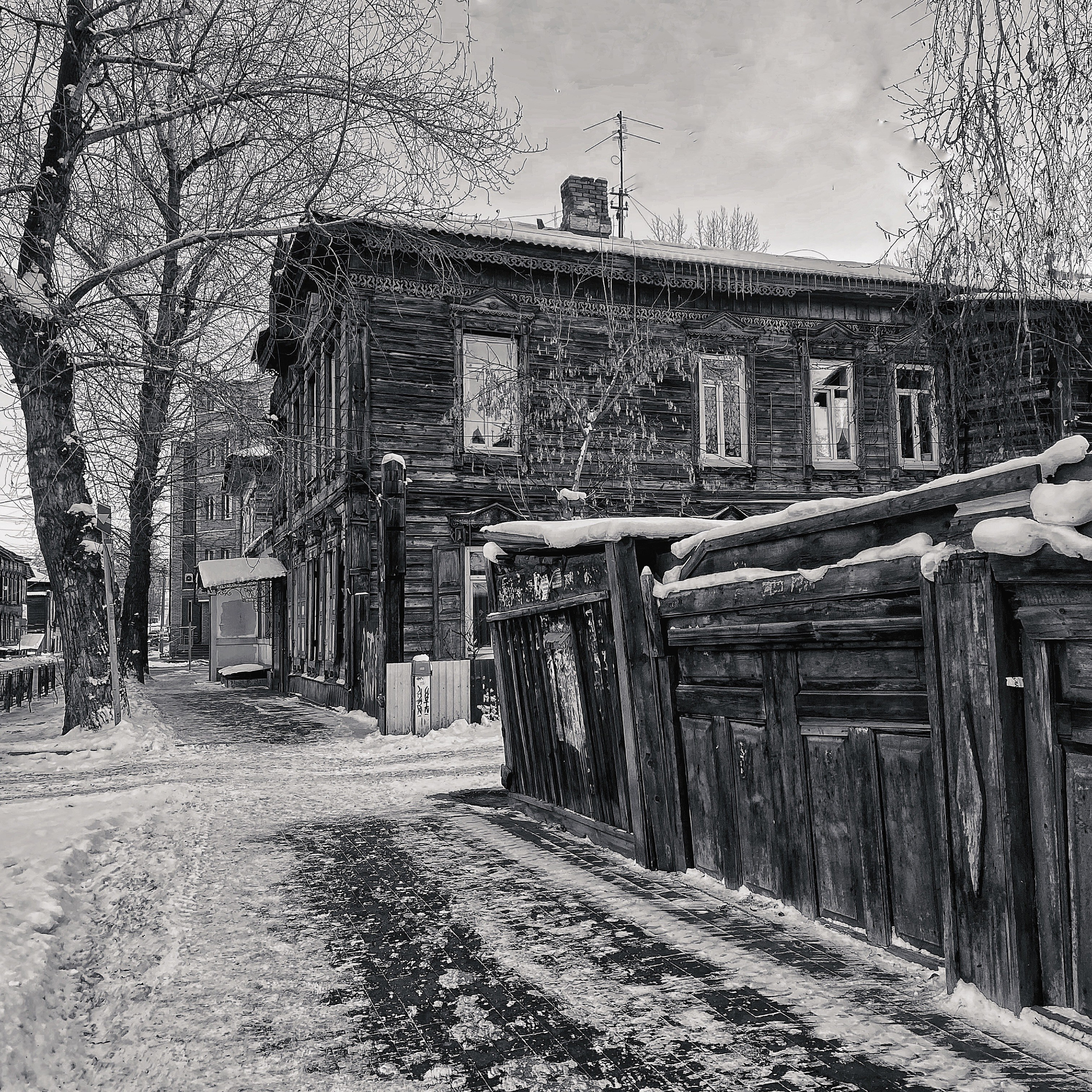 2025 год. Тащилин Сергей. Фотографии. Жизнь. Хобби