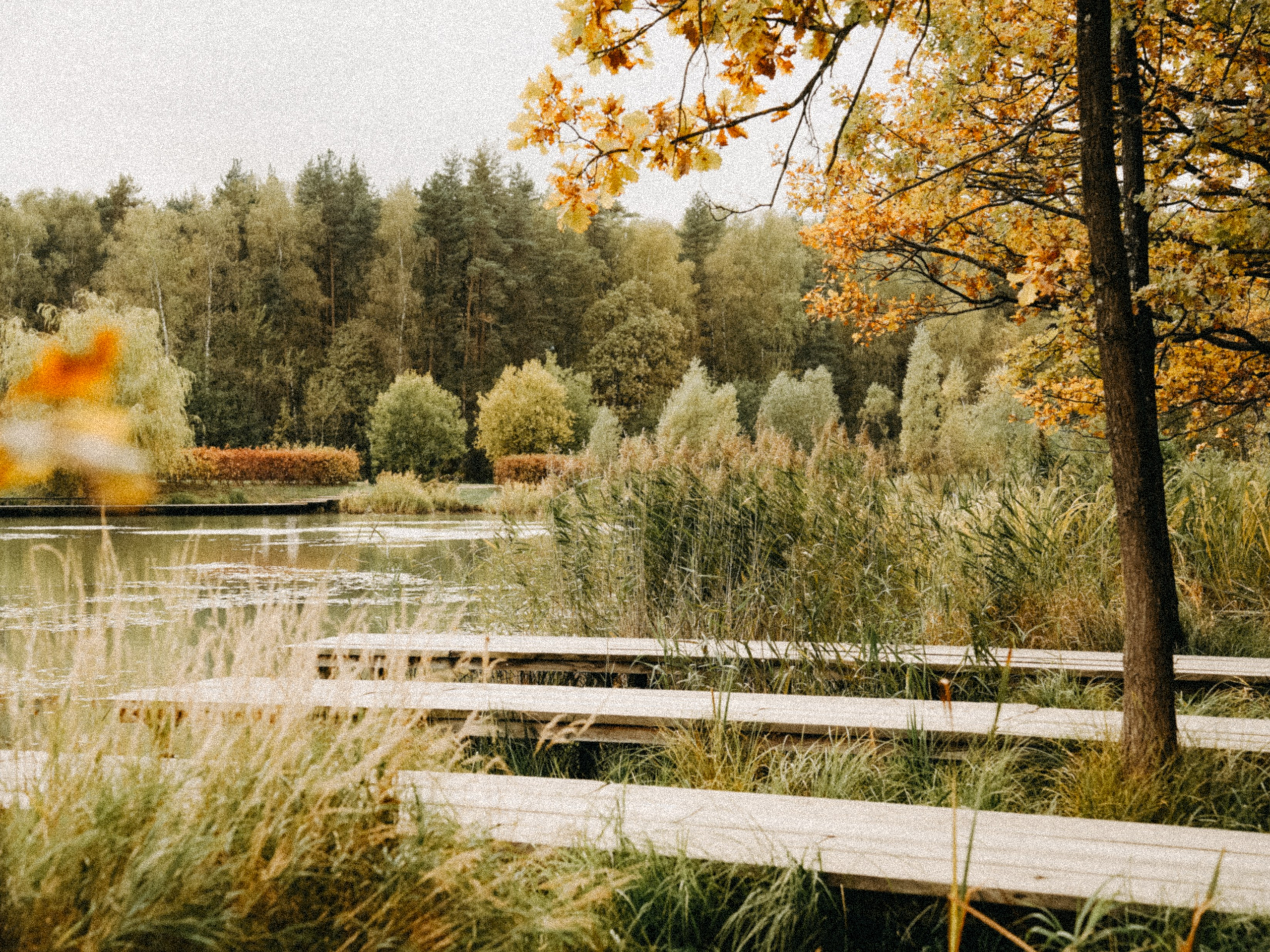 Осень 2025. Фотограф из Москвы — DASHA NOVA | Авторская фотография в разных жанрах