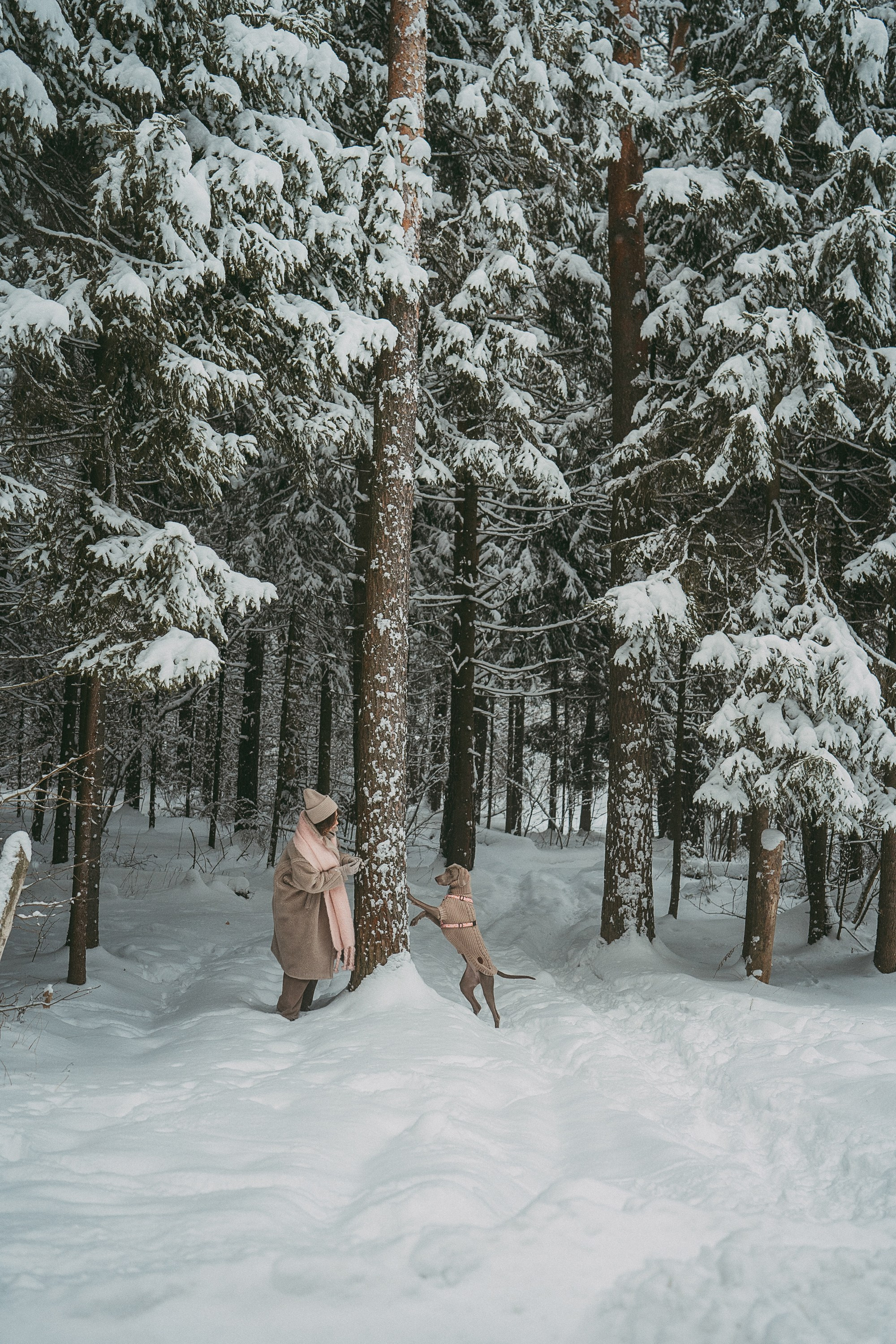 Лена и Фанни. Фотограф анималист в Москве и Санкт-Петербурге Свиридова Анна