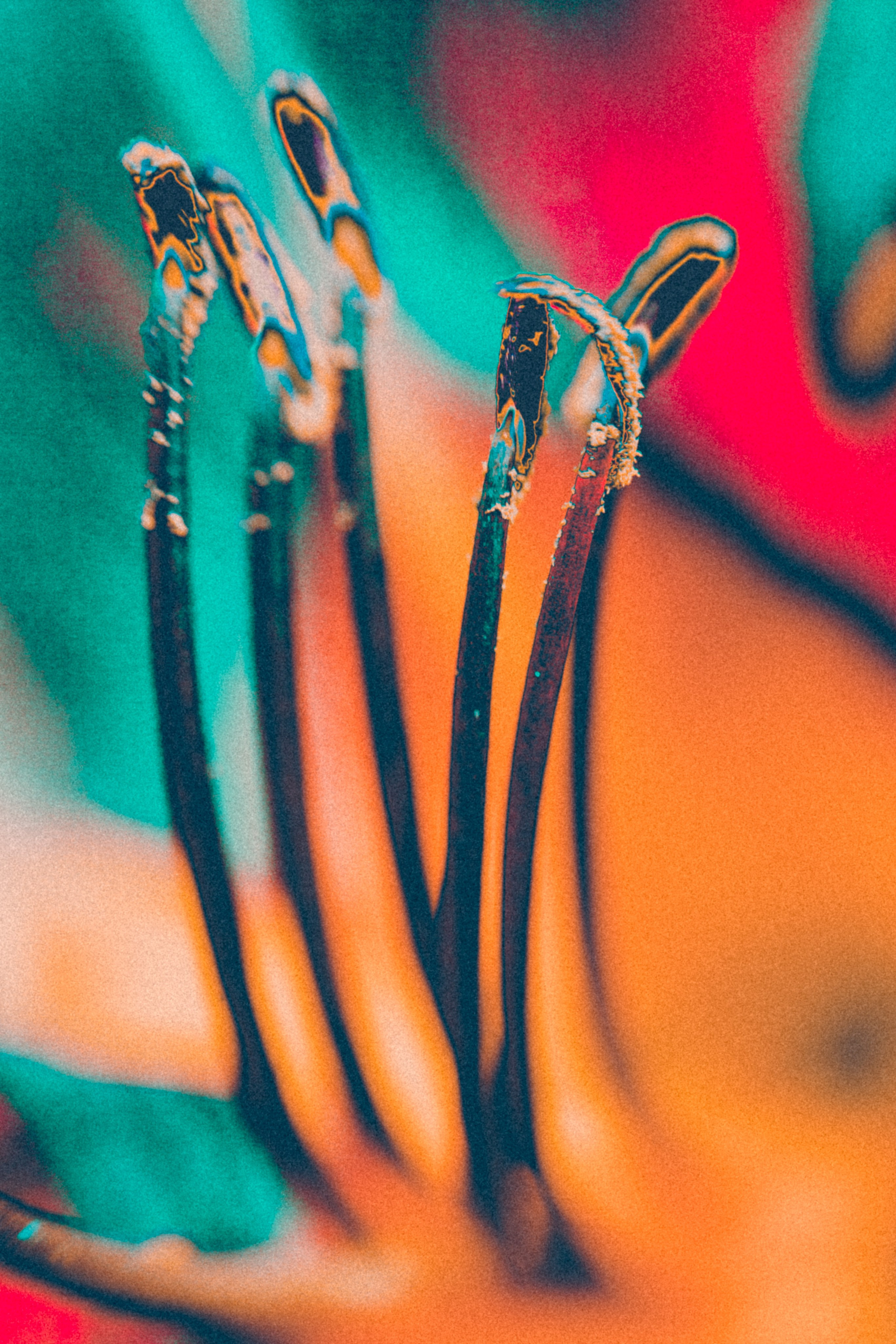 Хокку цветок