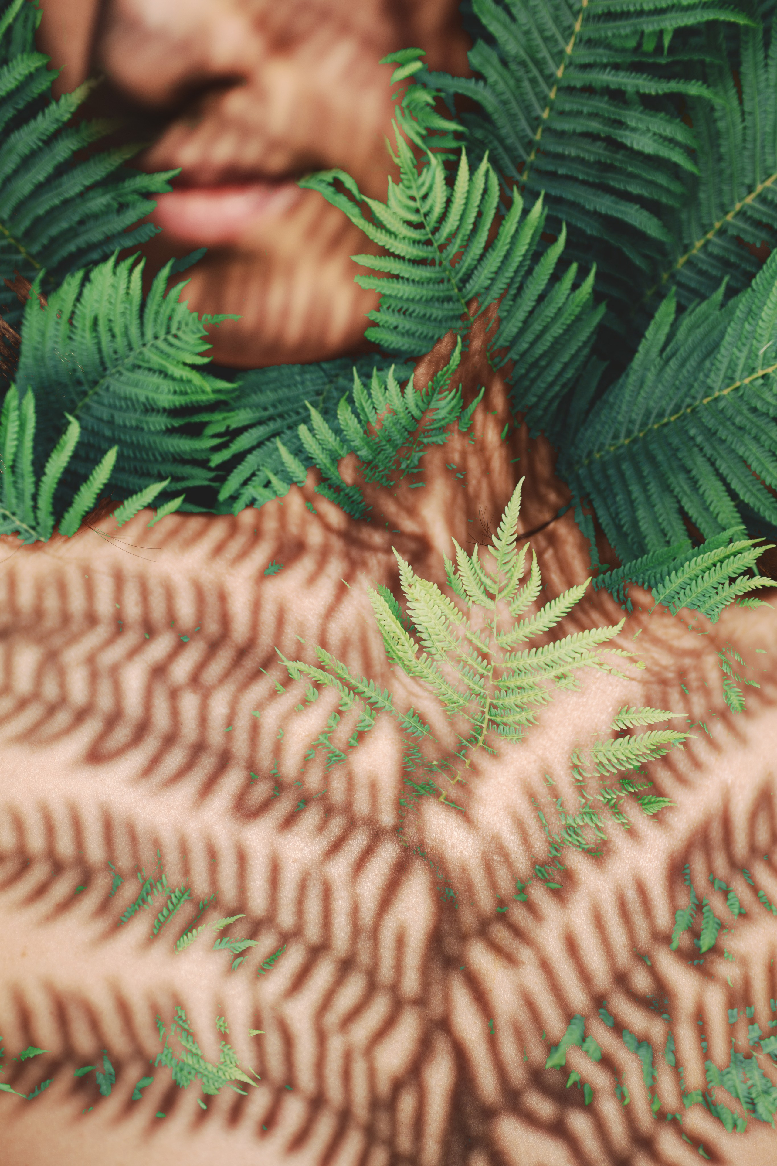 искусство, красота, цветы, видео,девушка,фото,фотограф,art, beauty, flowers, video,girl,photo,photographer