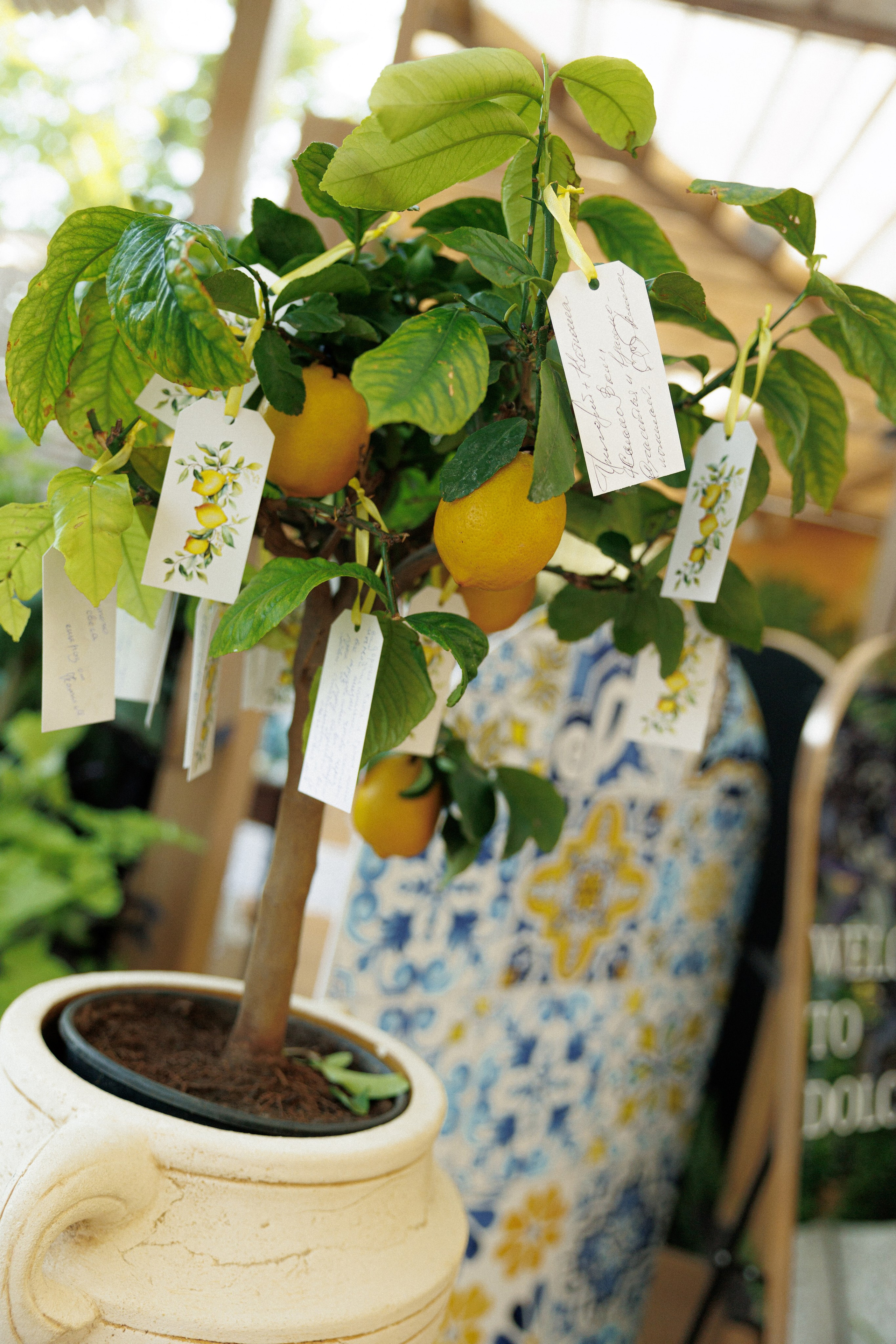 Григорий и Екатерина. Свадебный и семейный фотограф Харольцева Наталья