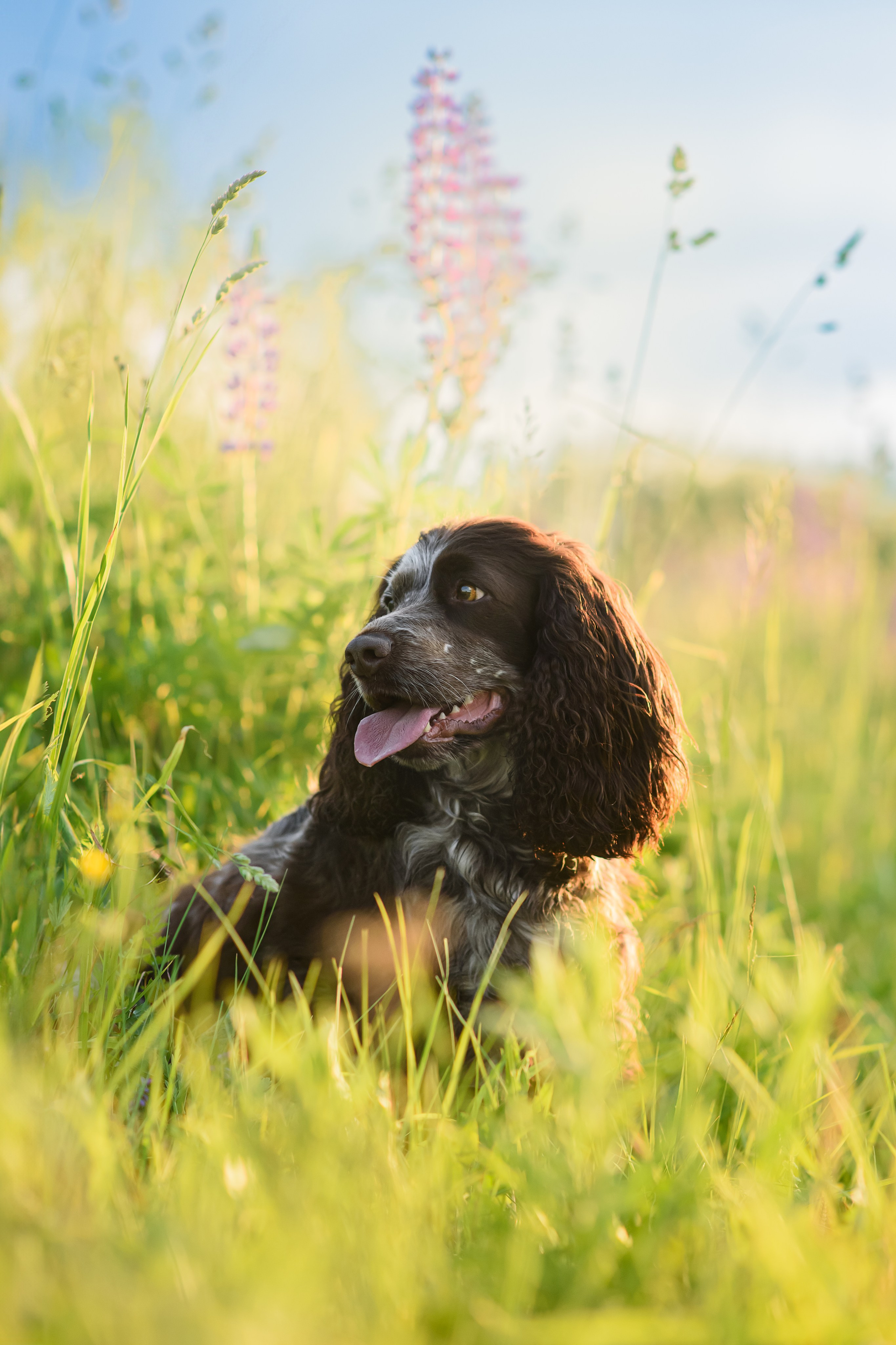 Света и Рей — 09.06.2024. Фотограф — Анималист | Анна Абрамова