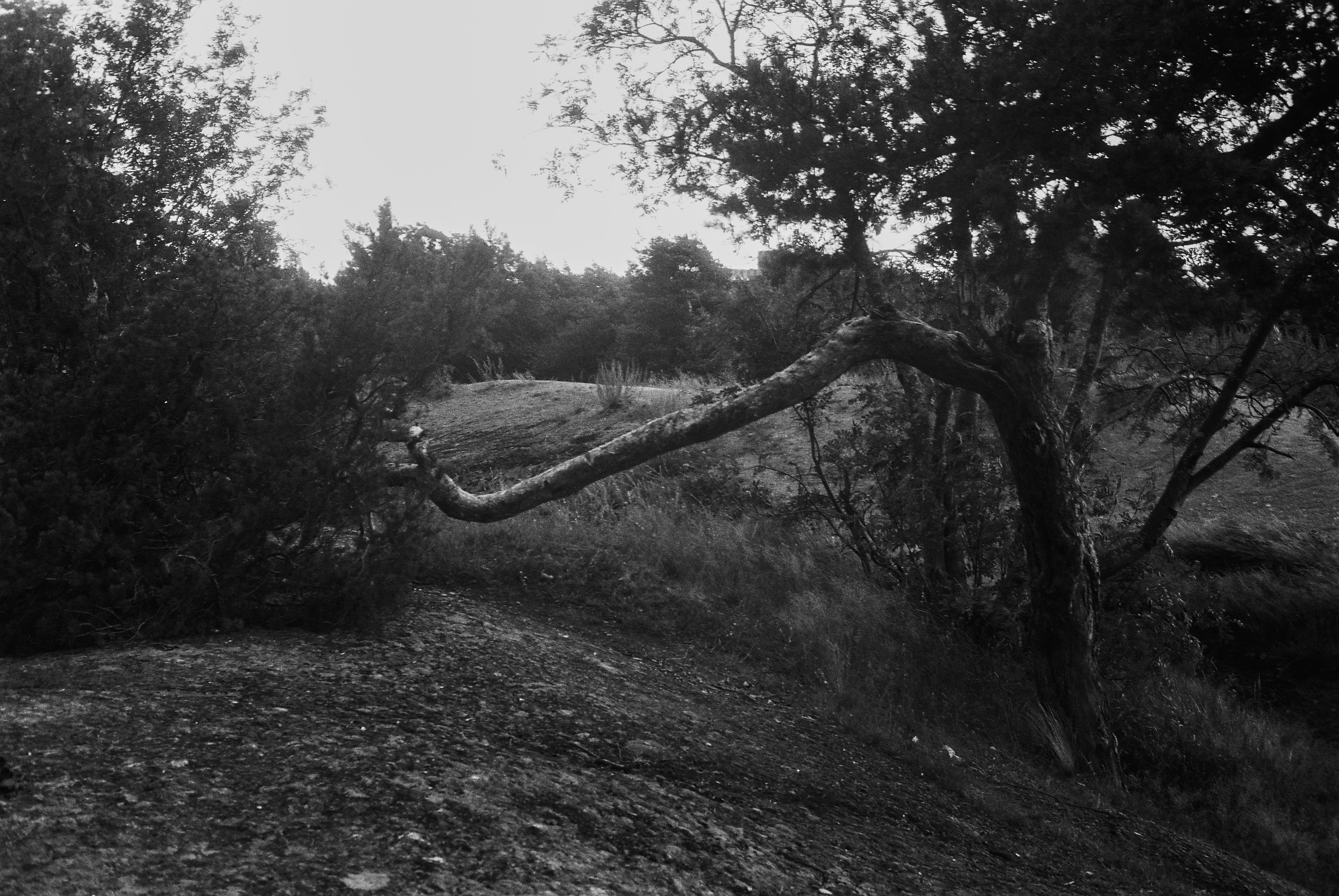 ILYA FILM. Фотограф Белград — Цветкова Мария