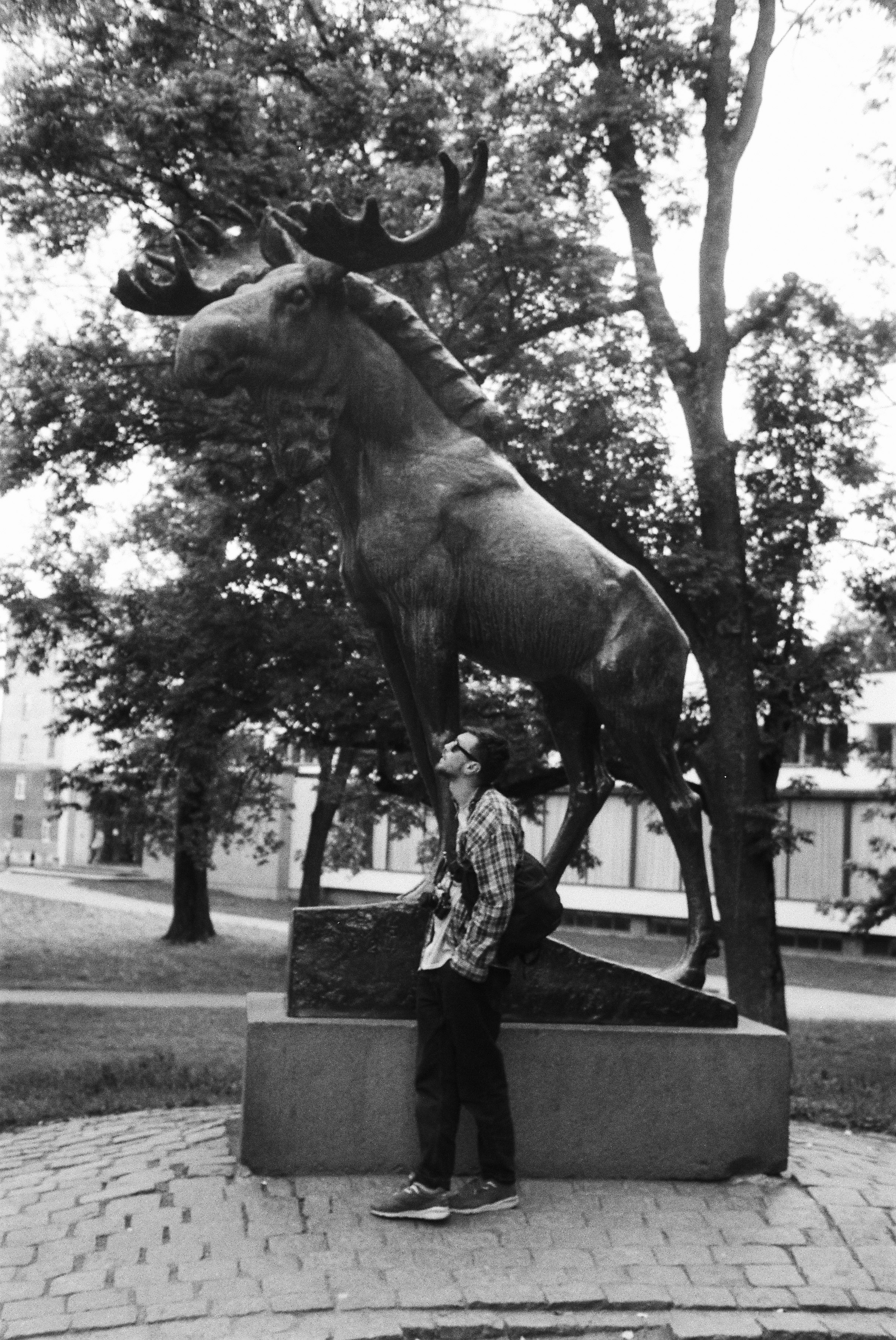 ILYA FILM. Фотограф Белград — Цветкова Мария