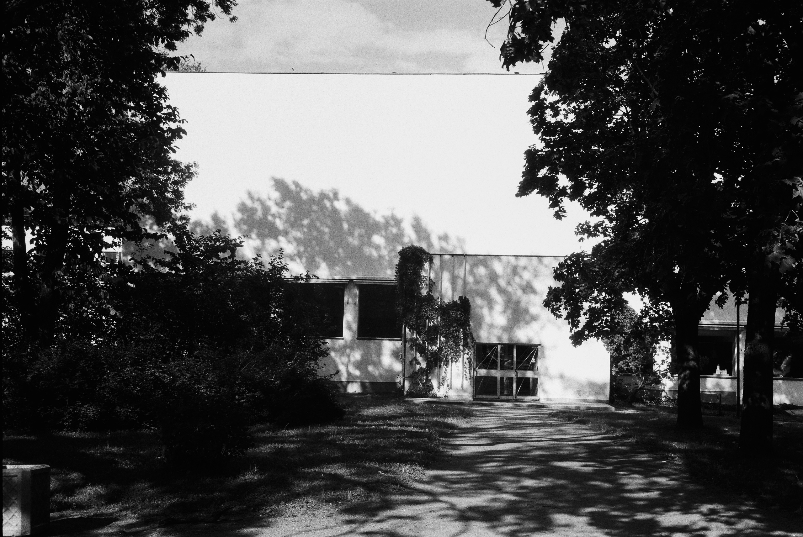 ILYA FILM. Фотограф Белград — Цветкова Мария