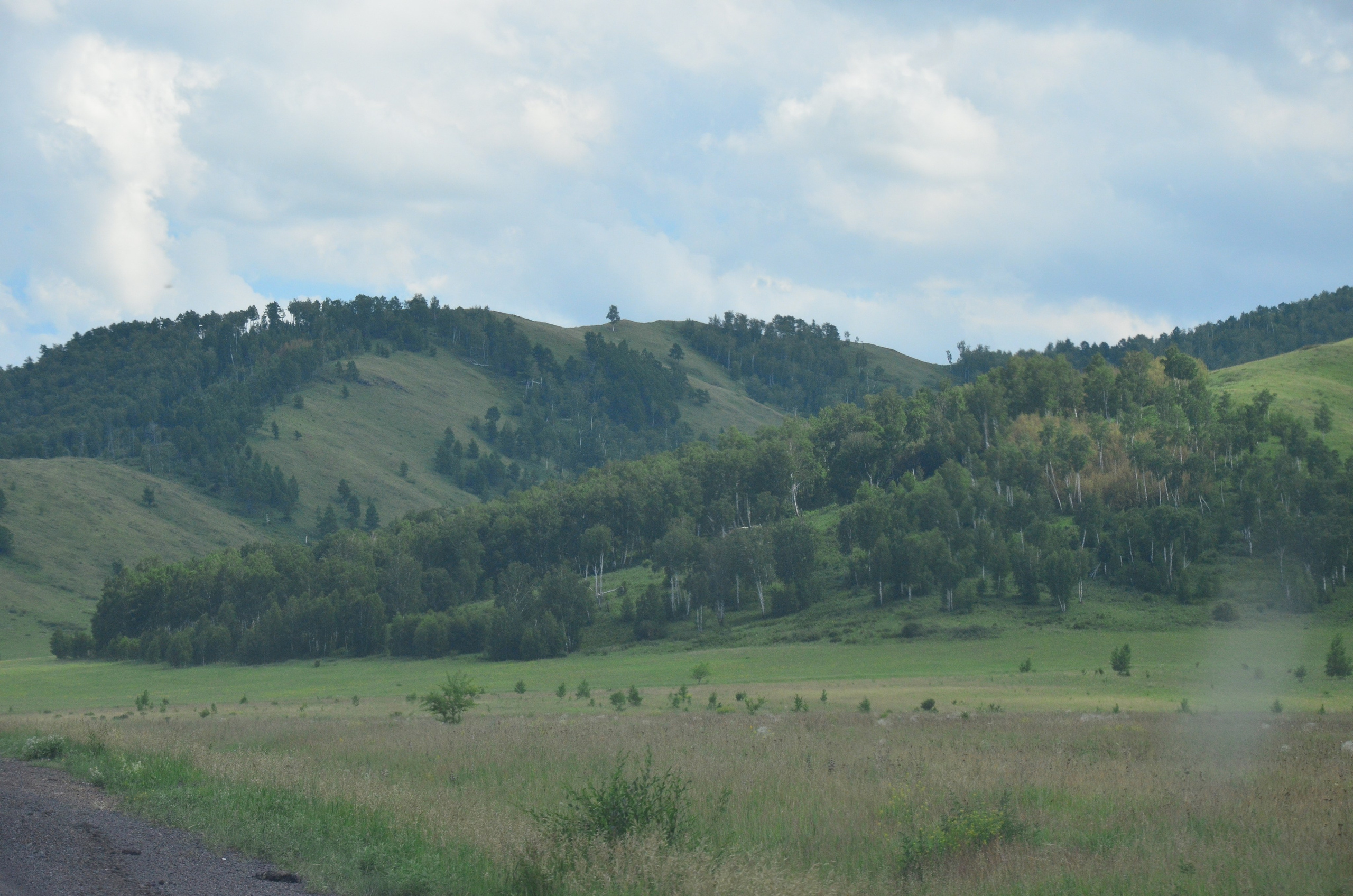 Дары природы. Фотограф viktor viktor