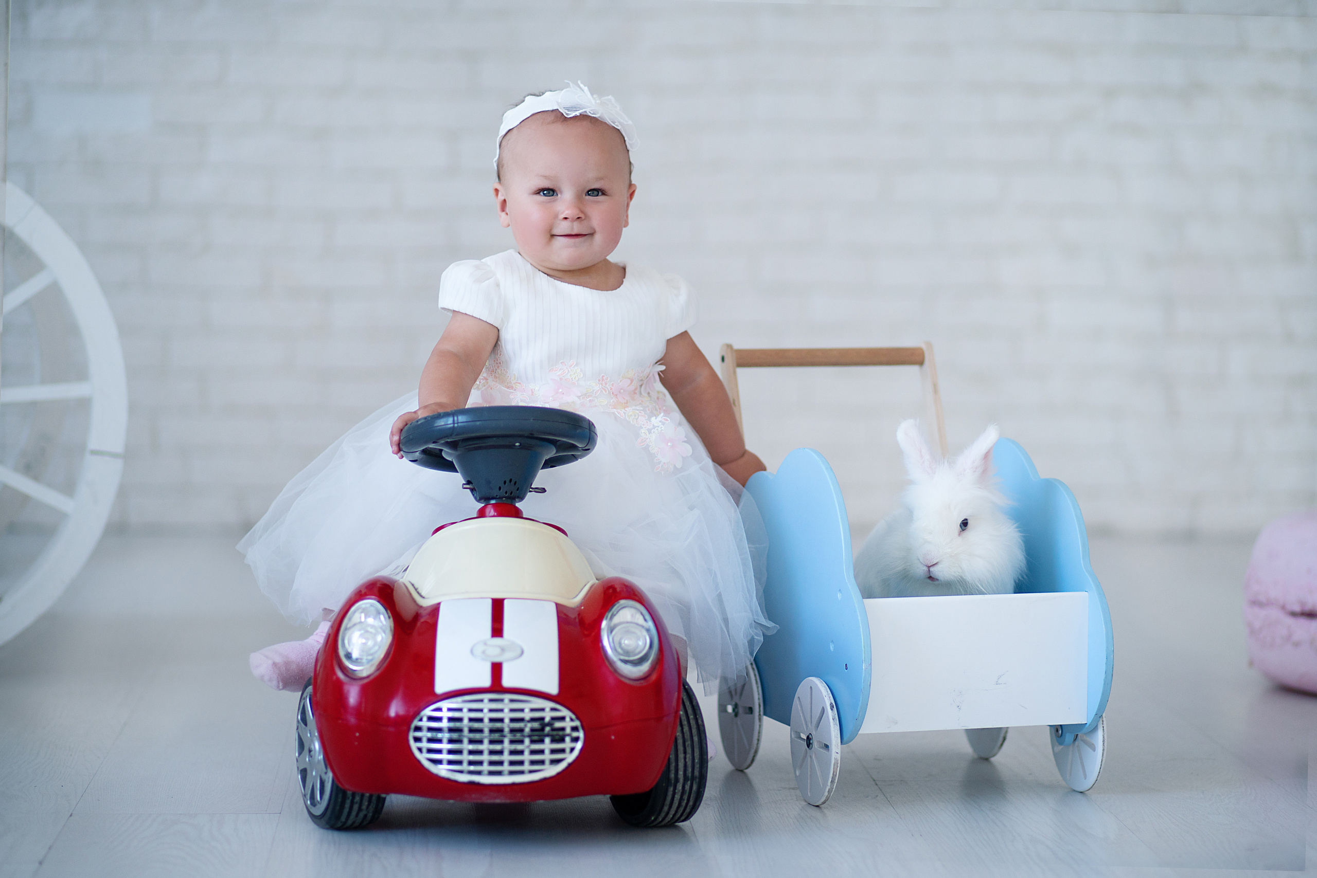 Съёмки с животными. Фотограф Светлана Кошелева (Москва)