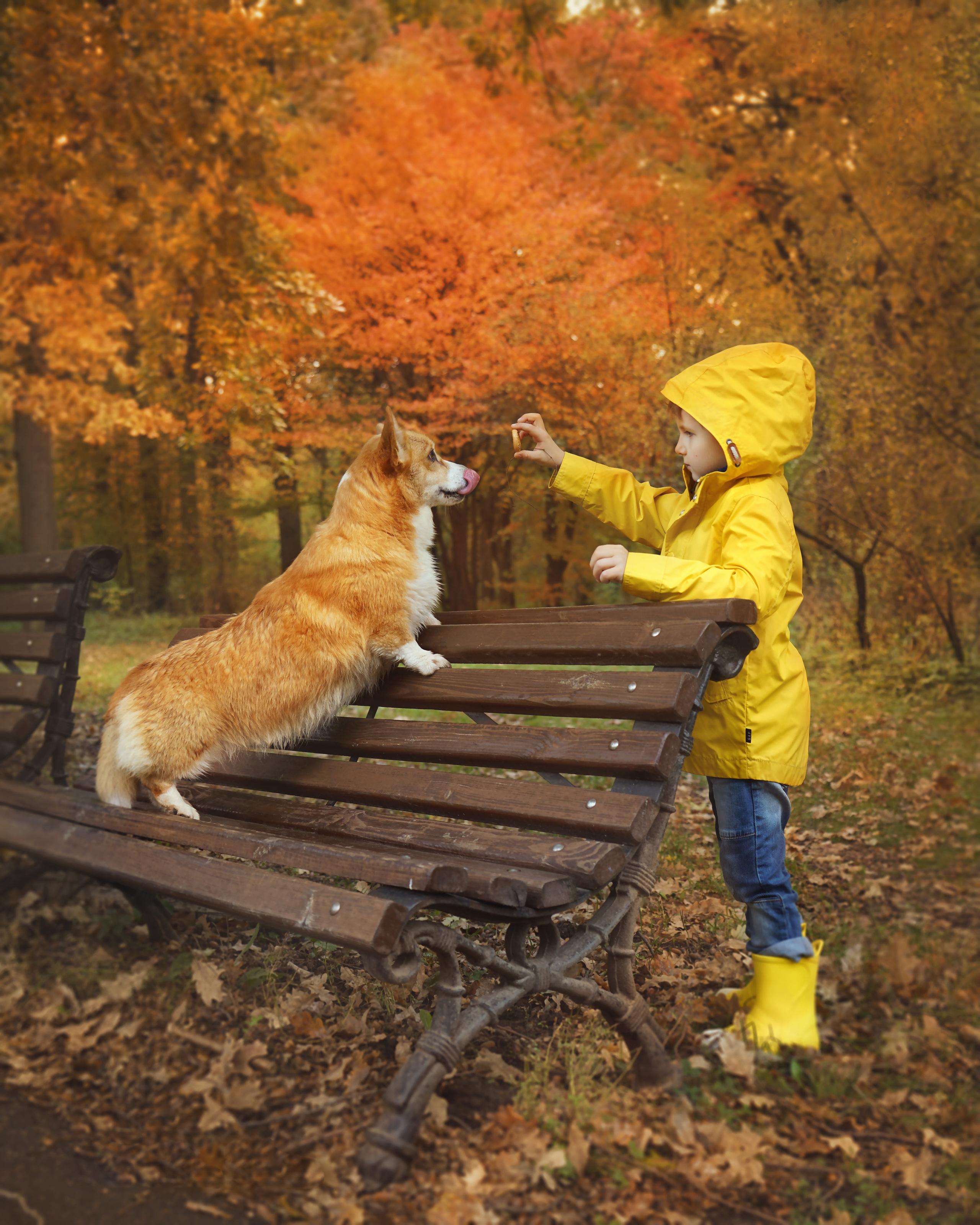 Съёмки с животными. Фотограф Светлана Кошелева (Москва)