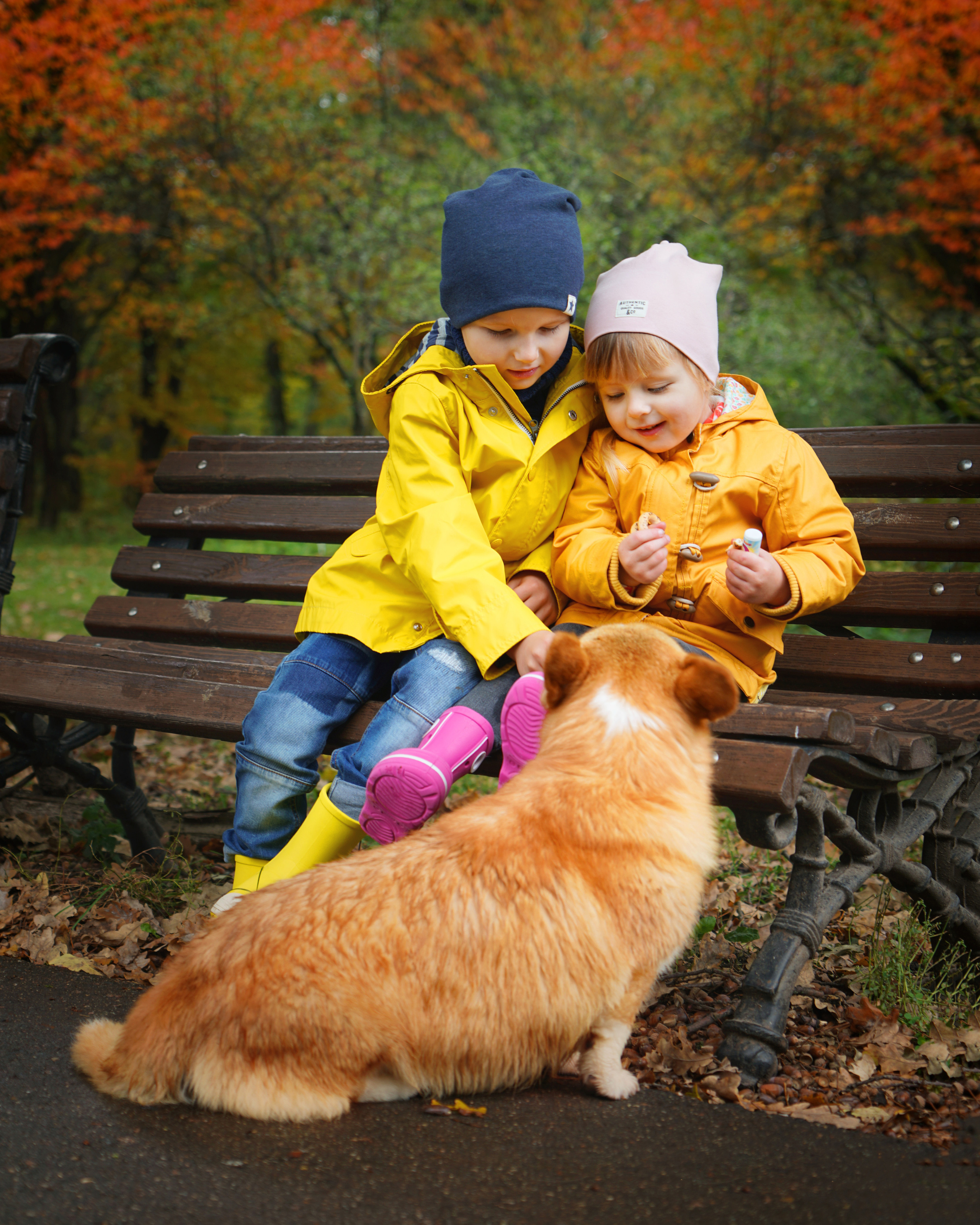 Семьи и дети. Фотограф Светлана Кошелева (Москва)