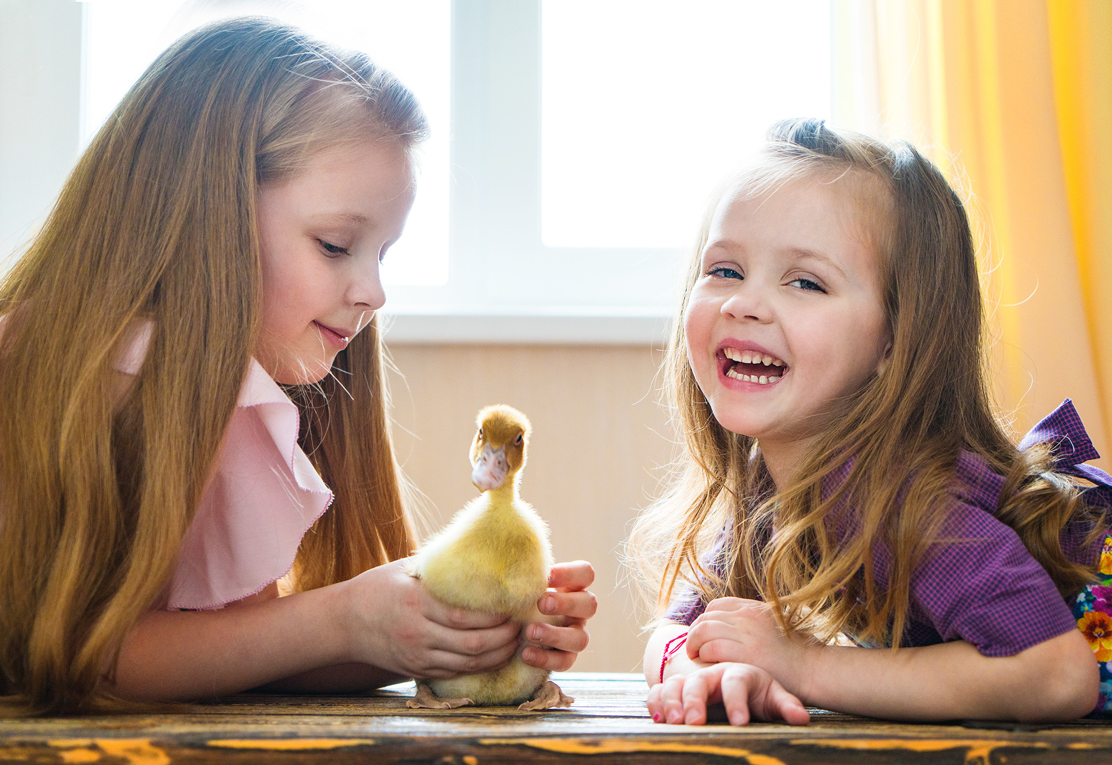 Семьи и дети. Фотограф Светлана Кошелева (Москва)