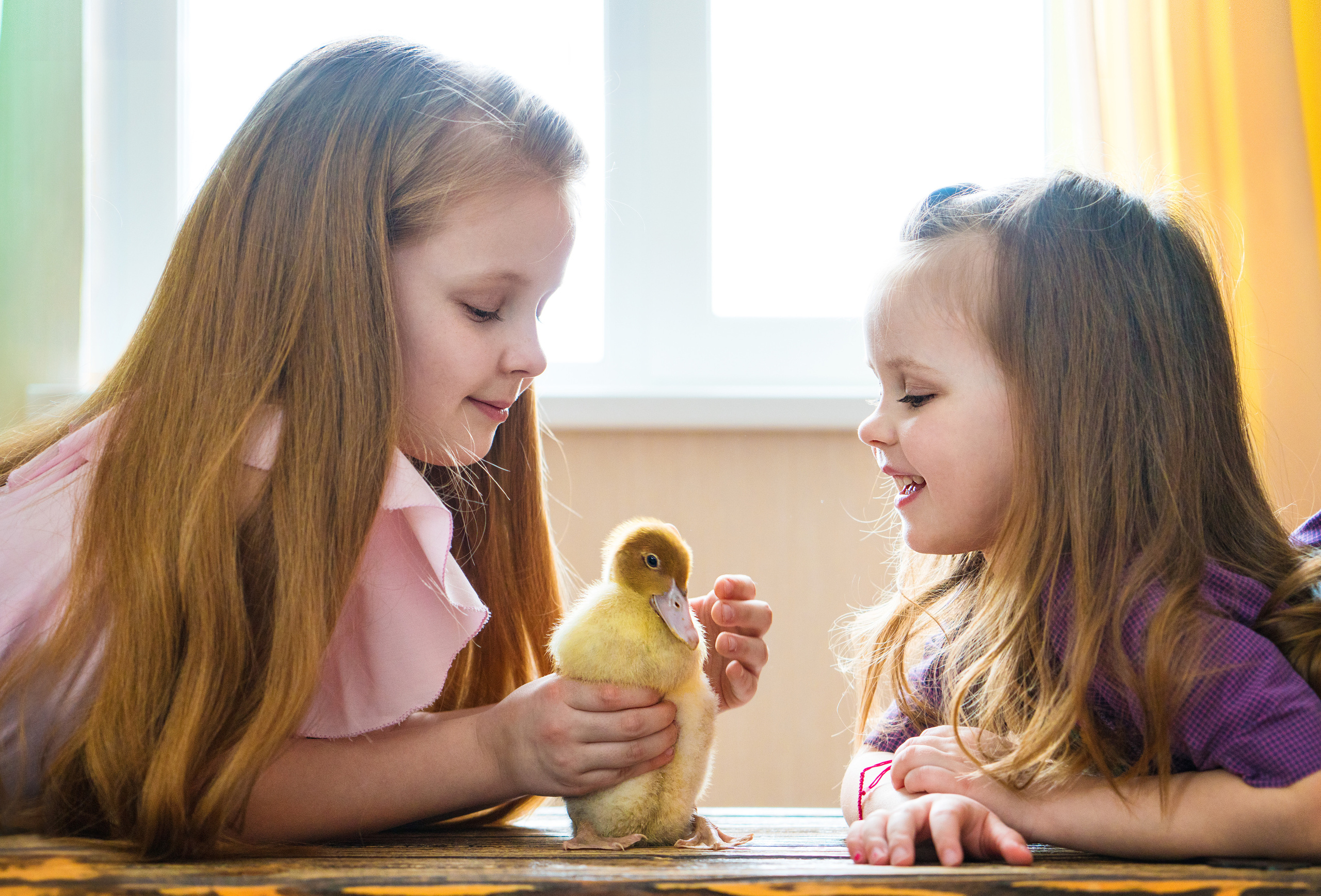 Съёмки с животными. Фотограф Светлана Кошелева (Москва)