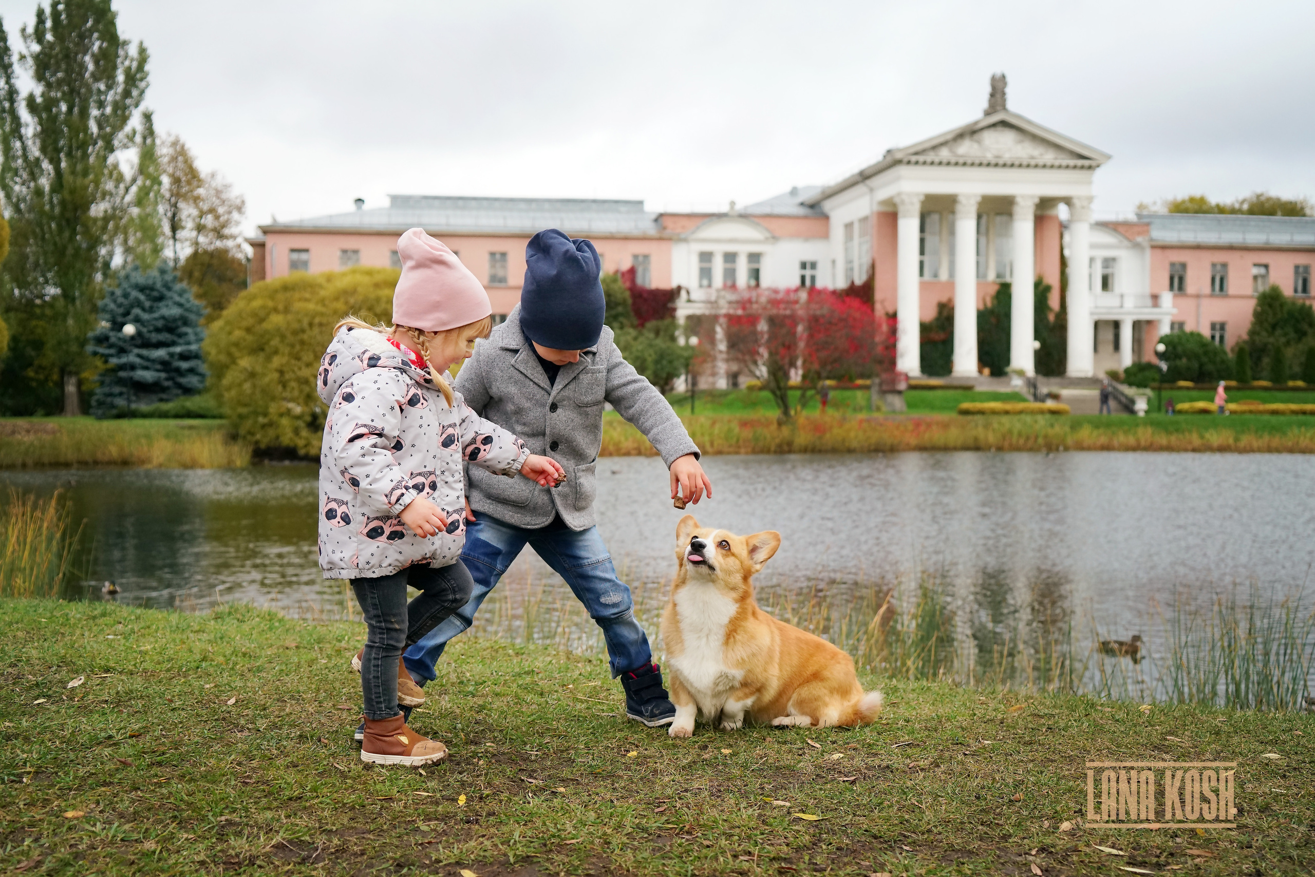 Съёмки с животными. Фотограф Светлана Кошелева (Москва)