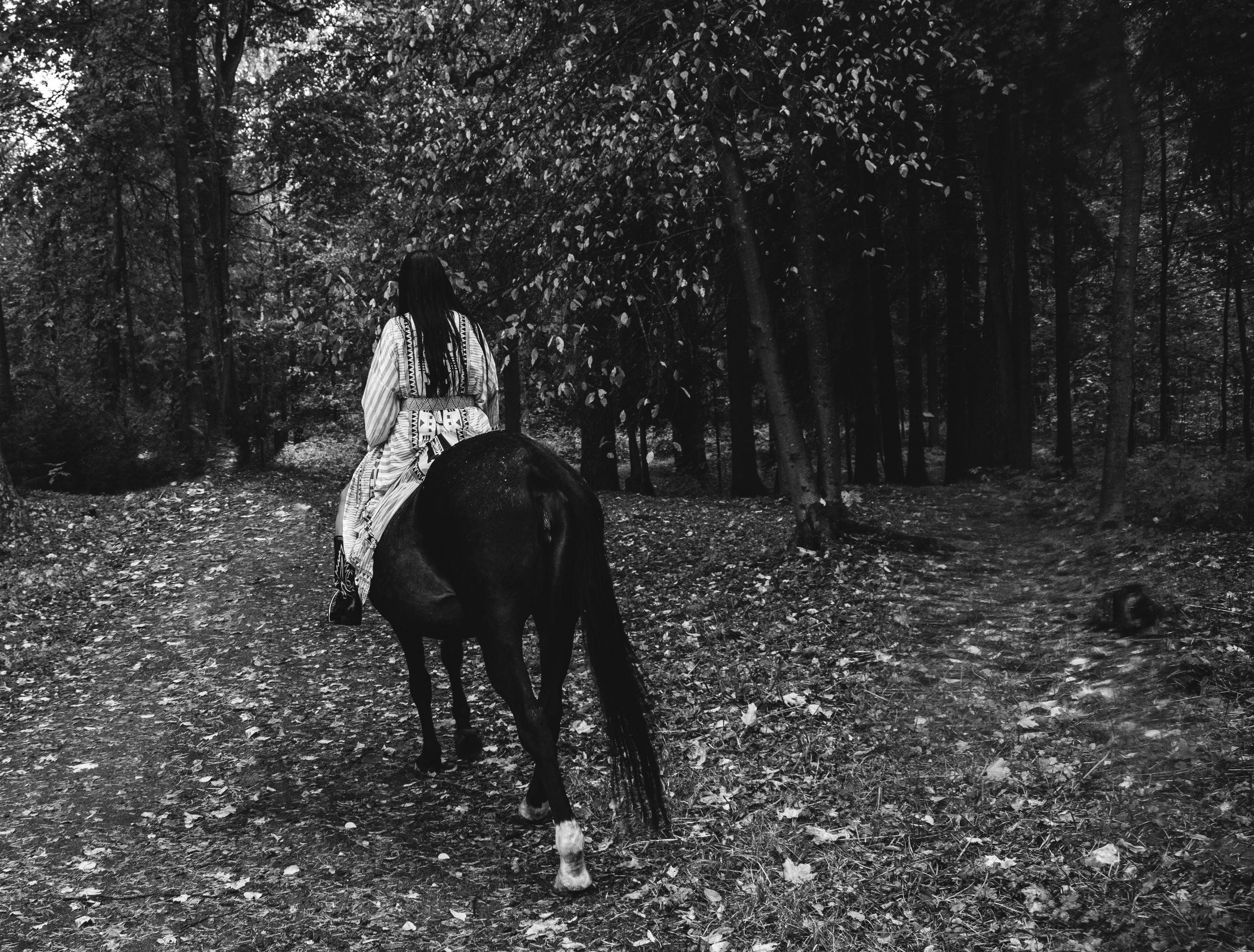 КОННАЯ ПРОГУЛКА. Индивидуальный фотограф в Санкт-Петербурге Надежда Волобуева