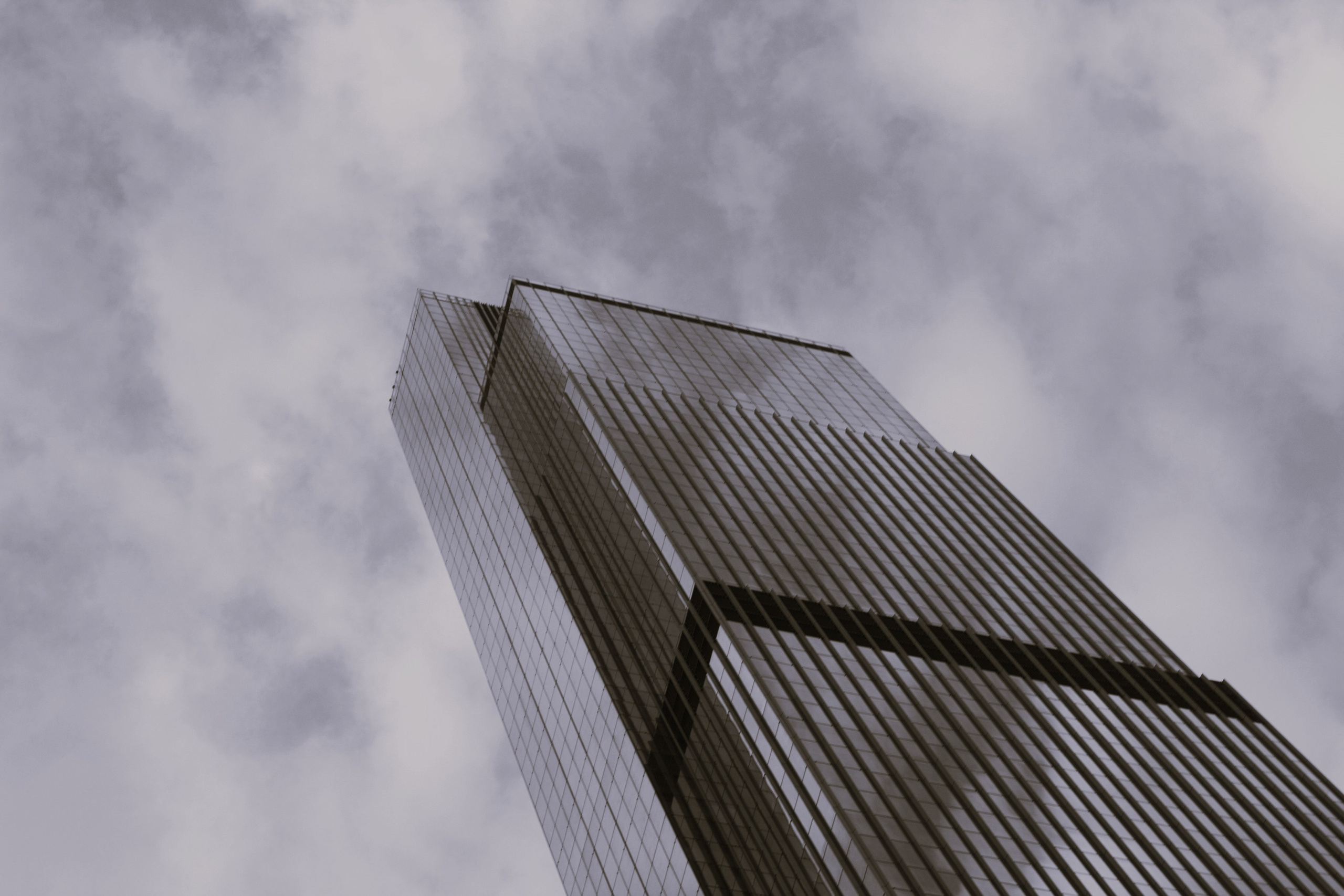 Всё, что я вижу вокруг себя