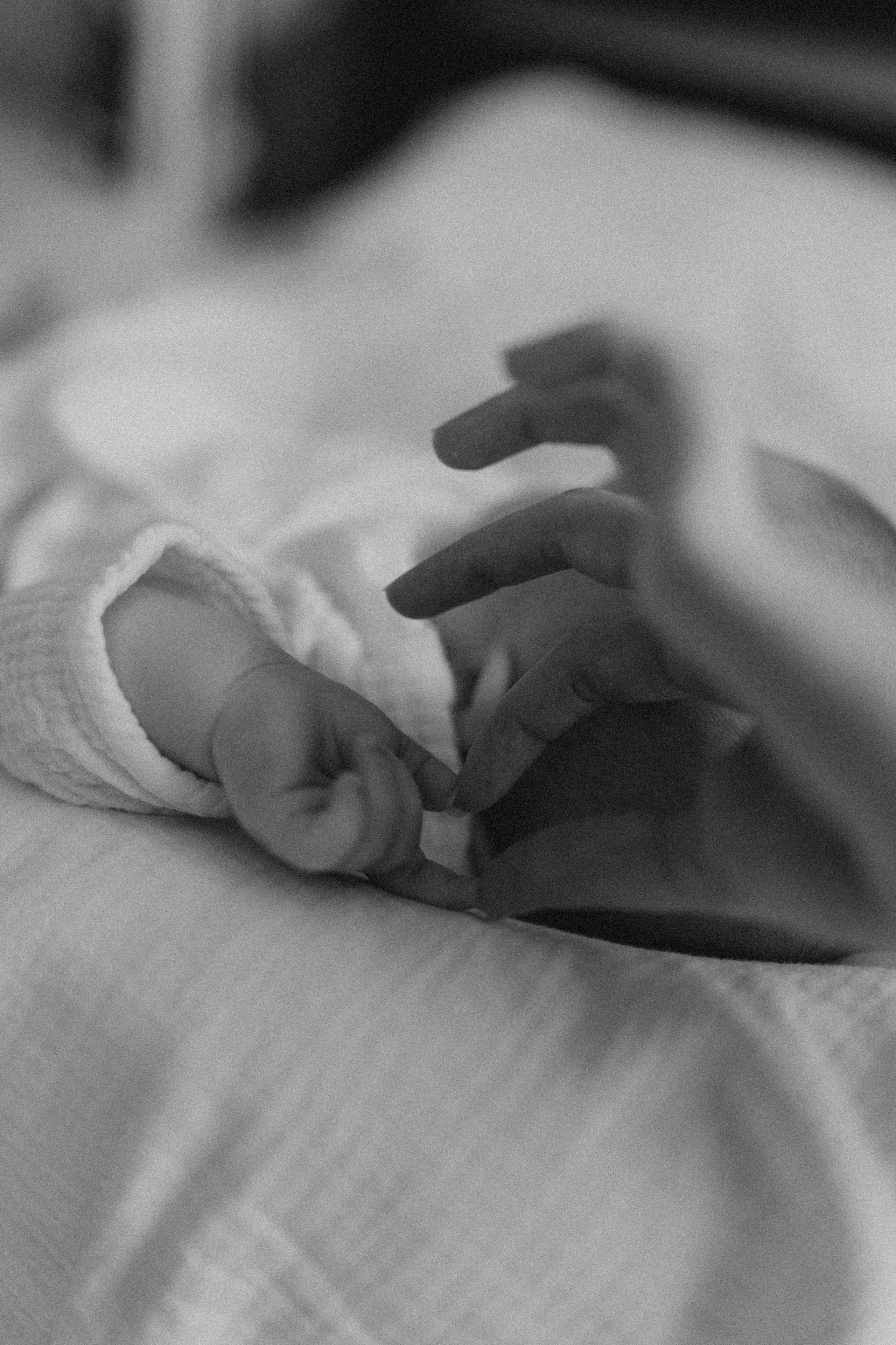 Про маленького дракончика. Брысина Алёна/ фотограф Петрозаводск, Карелия