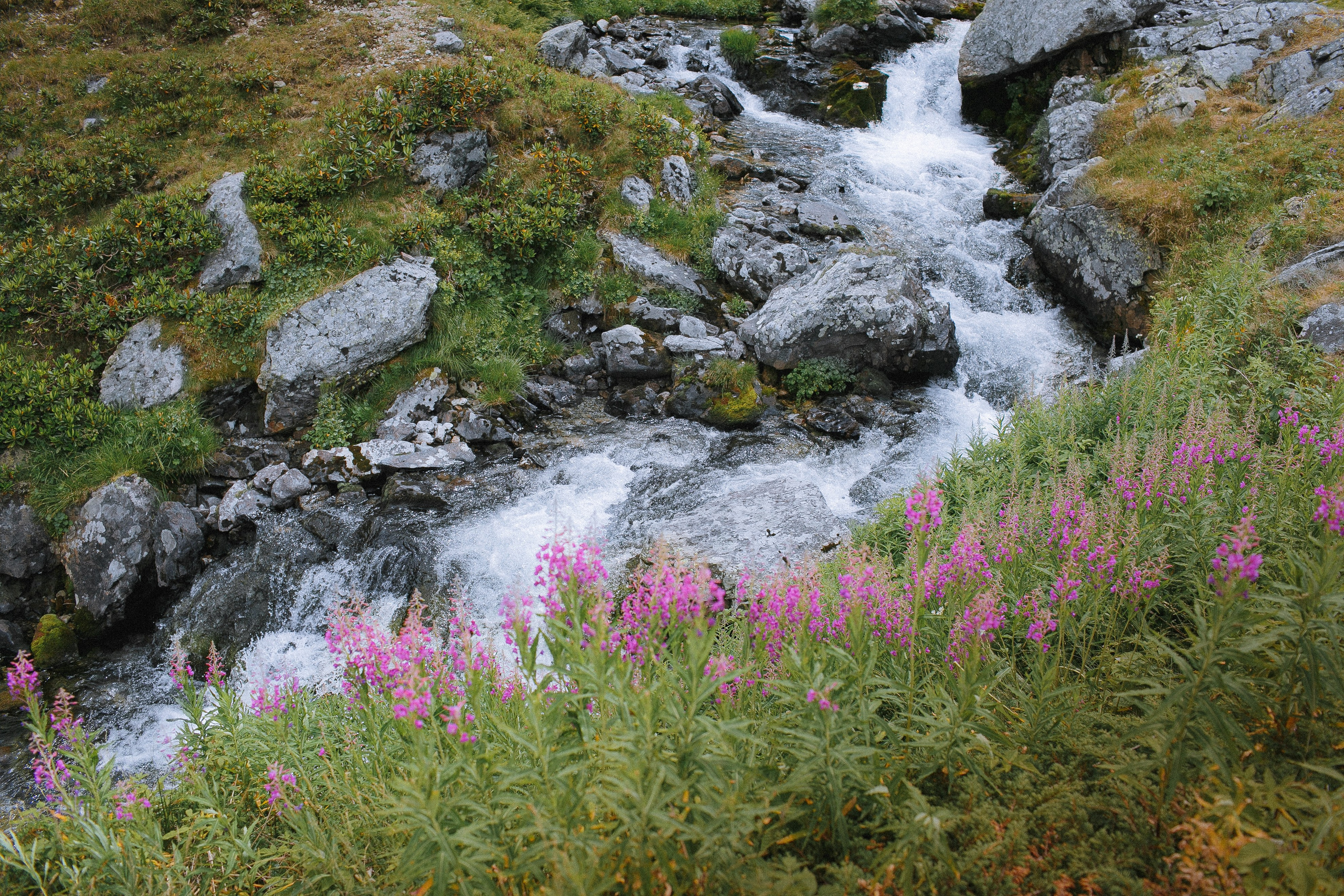 Кавказ. Свадебный и репортажный фотограф в Ярославле и Санкт-Петербурге Роман Микрюков