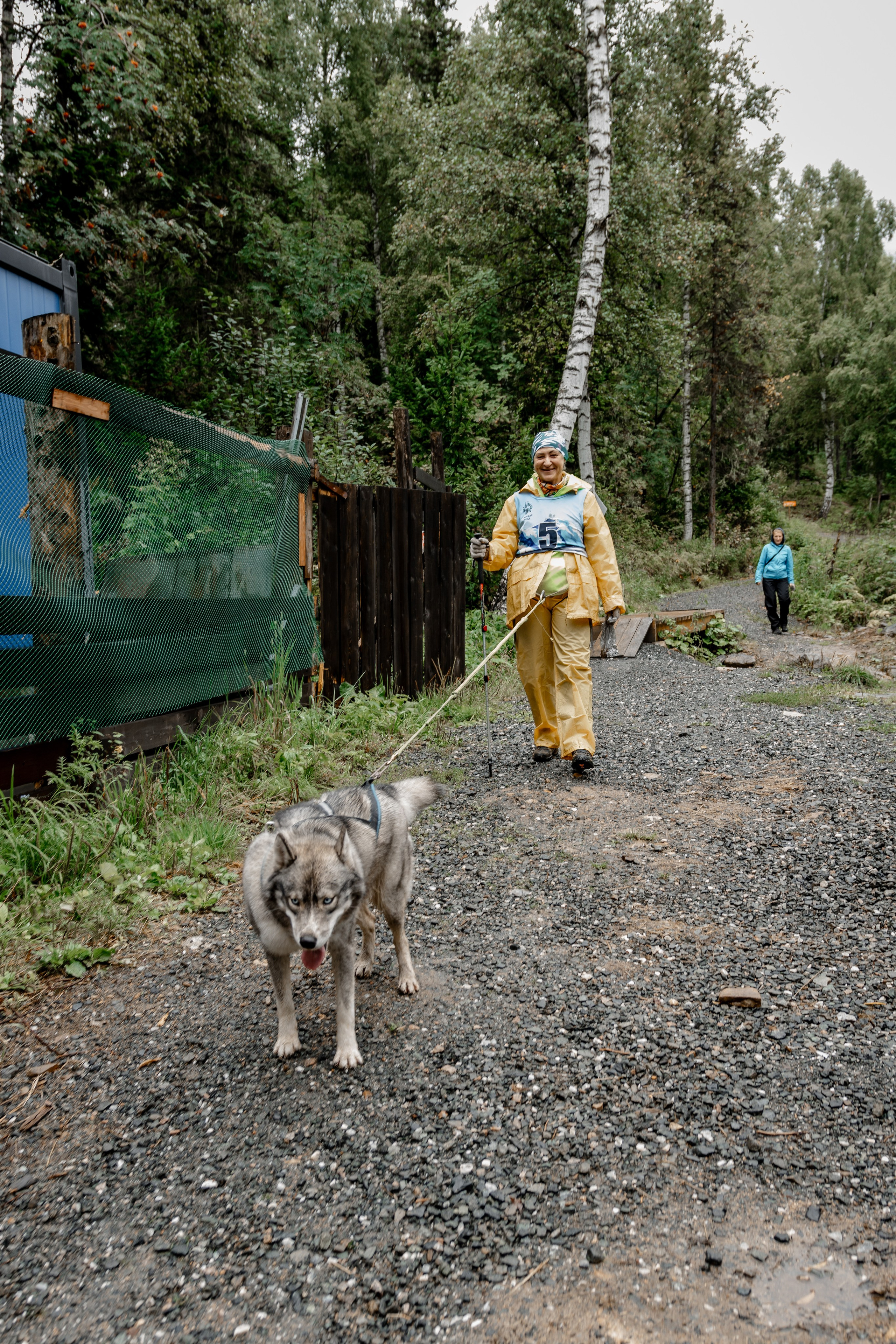 Дог-треккинг