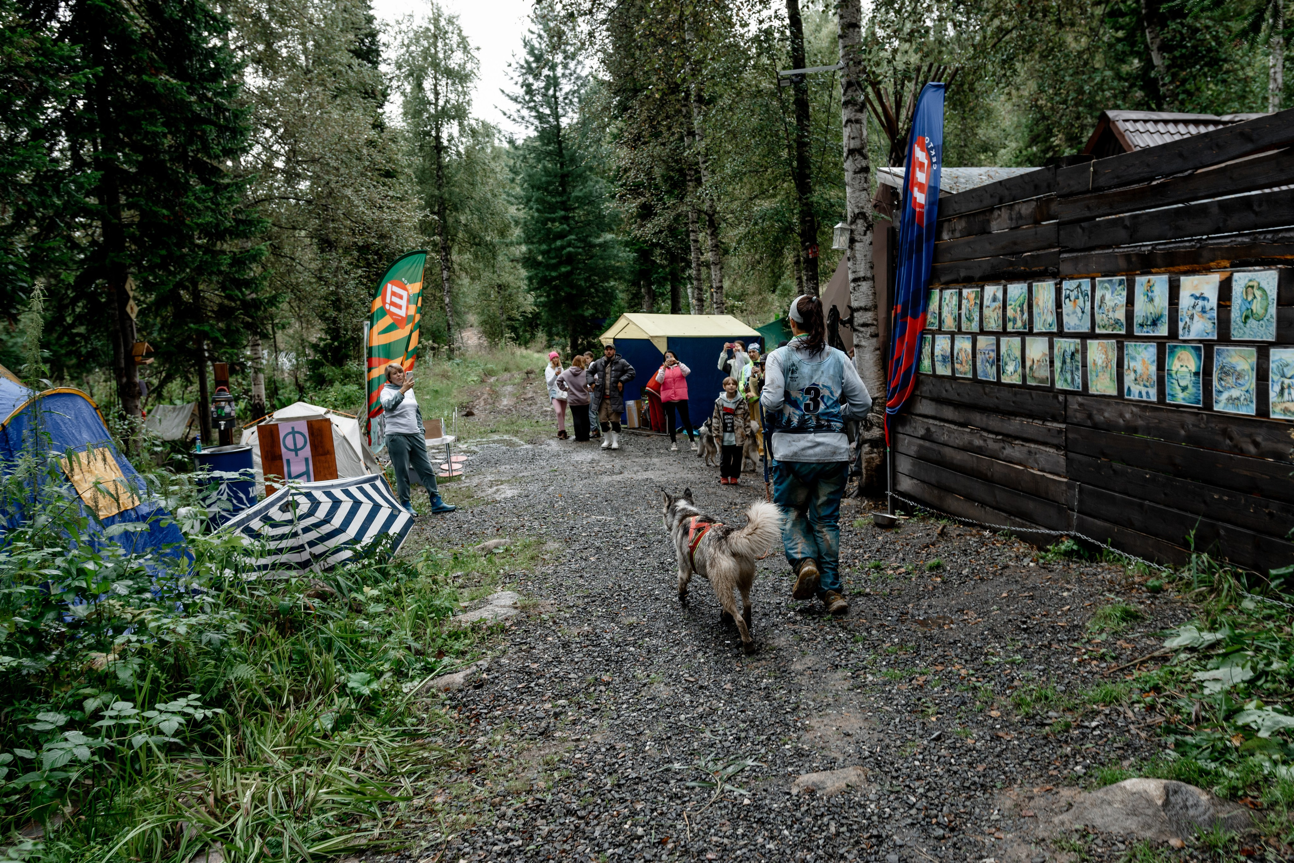 Дог-треккинг