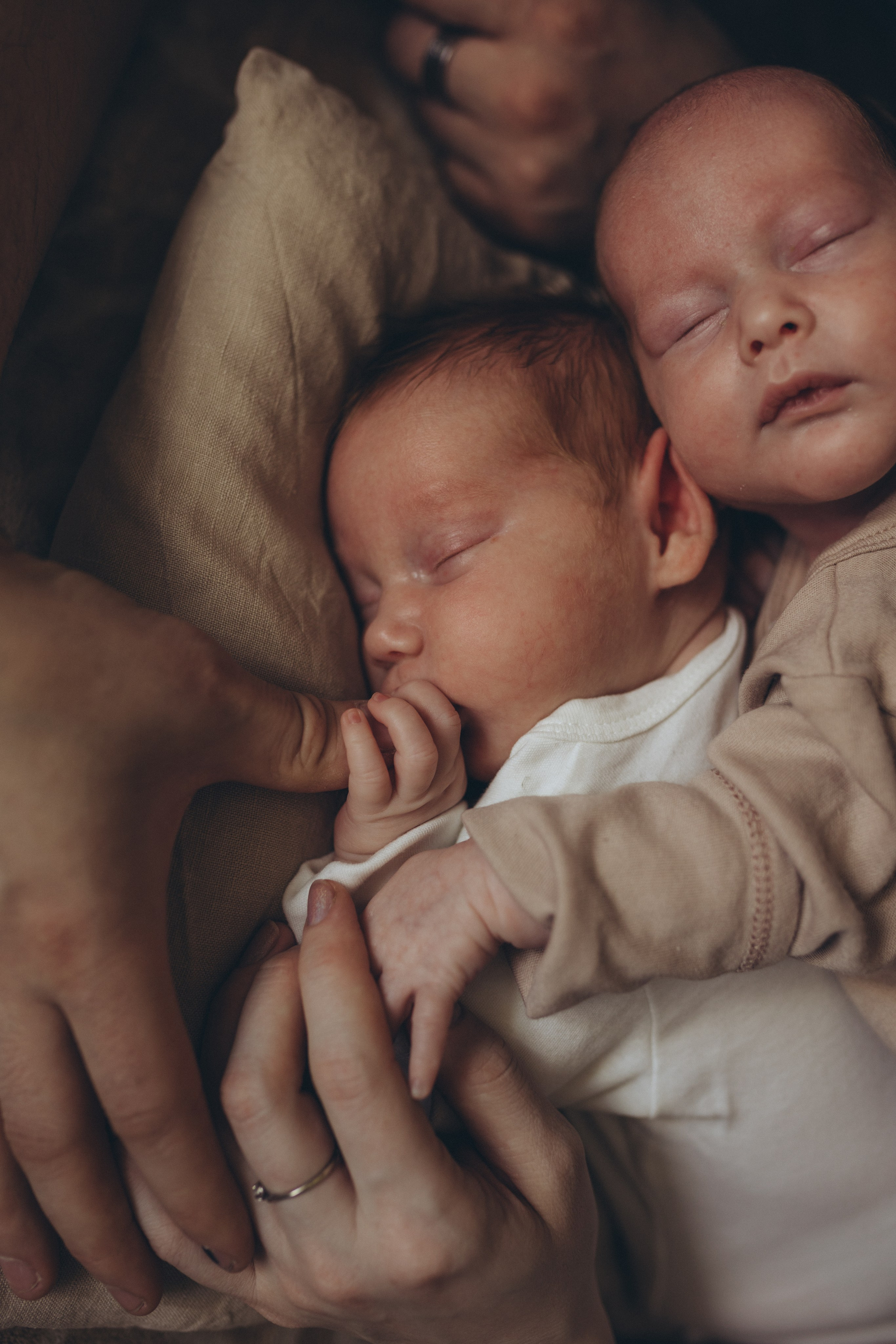 Домашний ньюборн. Главная