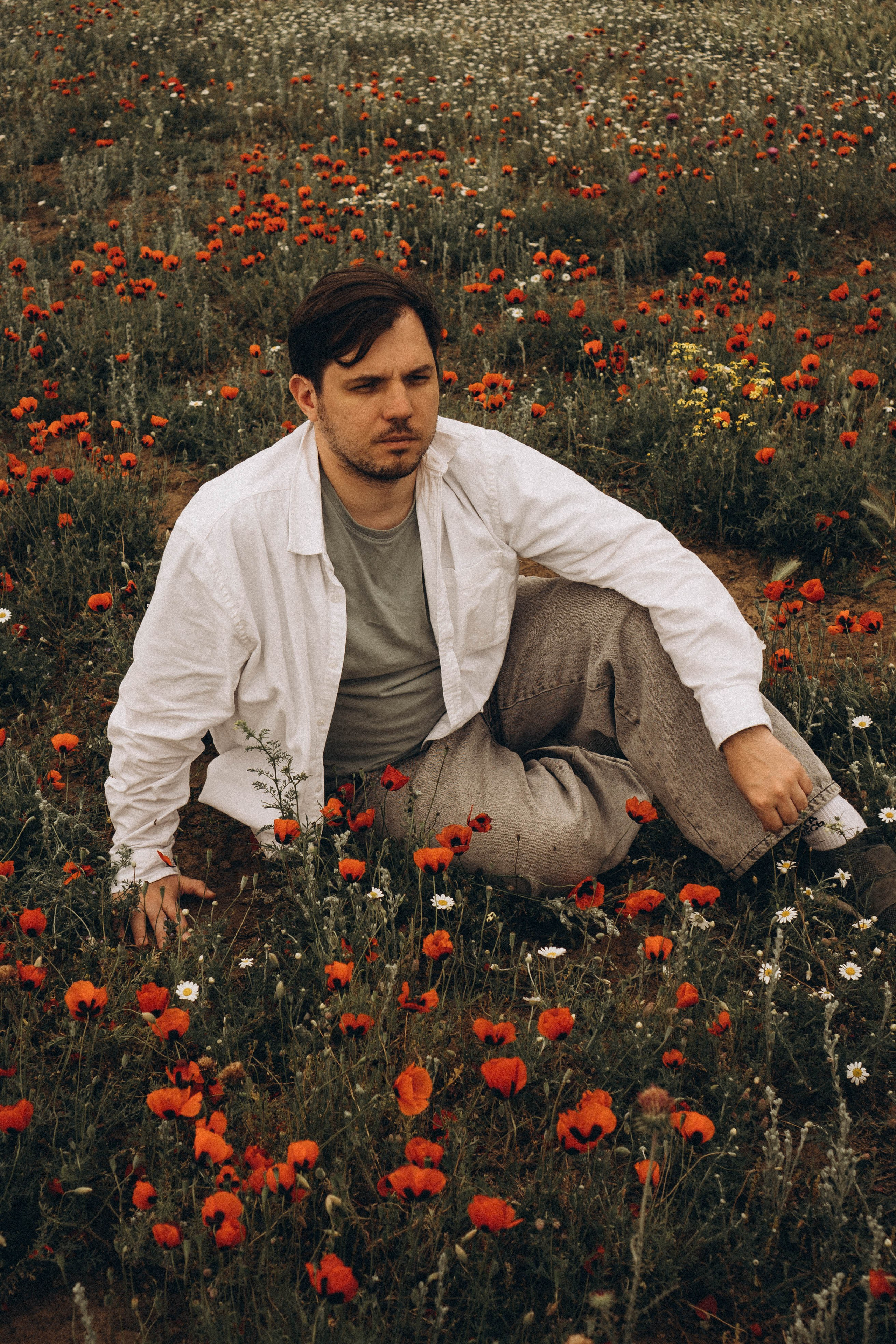 Маки. Профессиональный фотограф, Санкт-Петербург — Виктория Богомолова