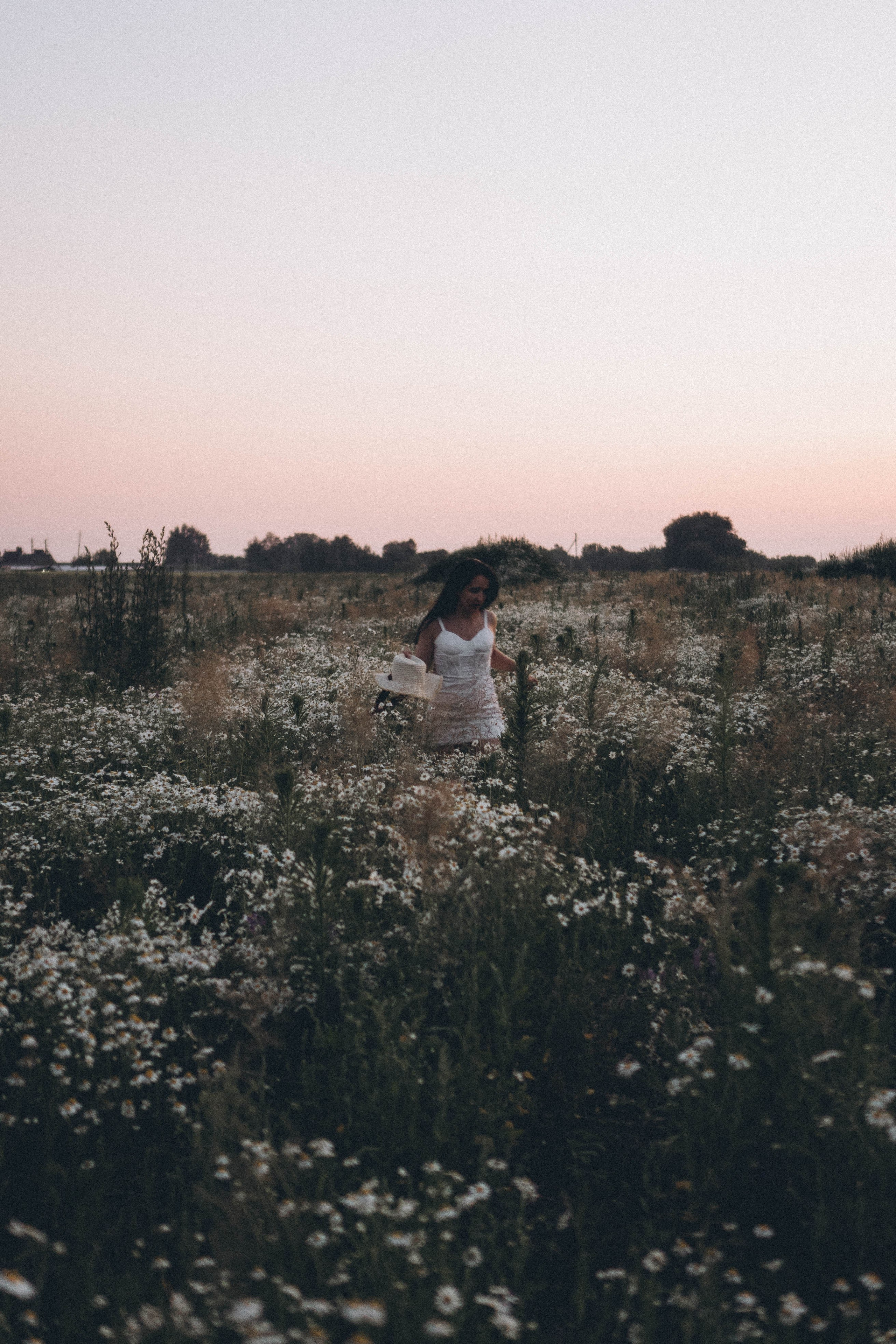 Ромашковое поле. Профессиональный фотограф, Санкт-Петербург — Виктория Богомолова