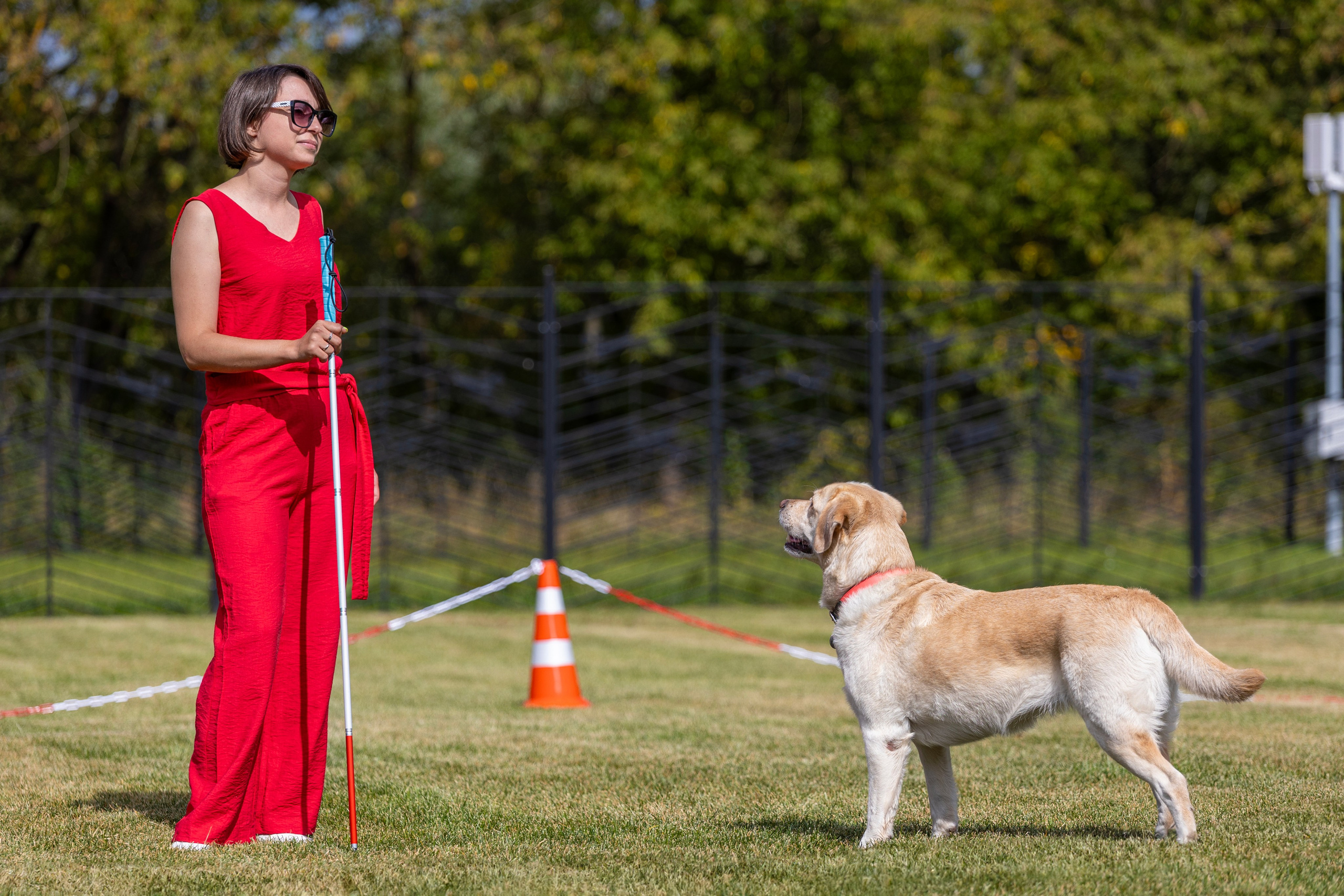 Съемка мероприятия: конкурс по танцам с собаками. Фотография. Юрий Савин