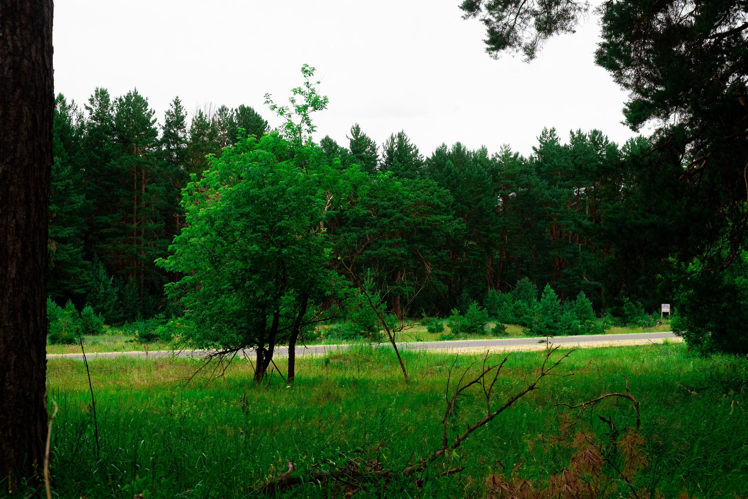 Краснослободский район. Село Старое Синдрово. Кинокомиссия Республики Мордовия
