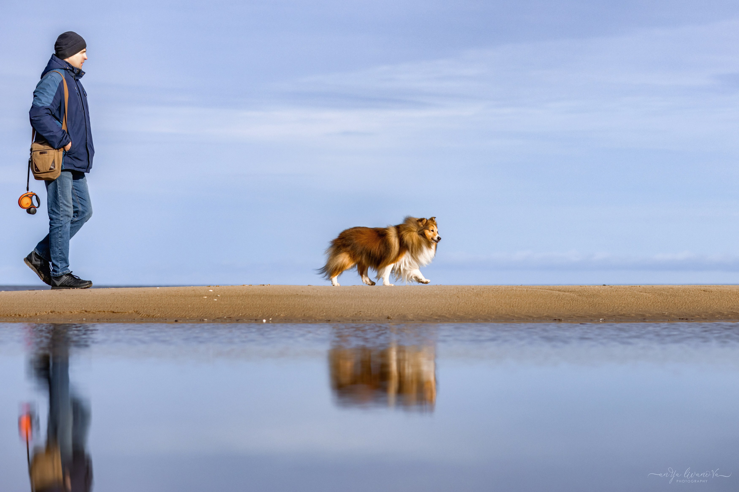 Рома. Фотограф анималист Аня Ливанова | Рыбинск