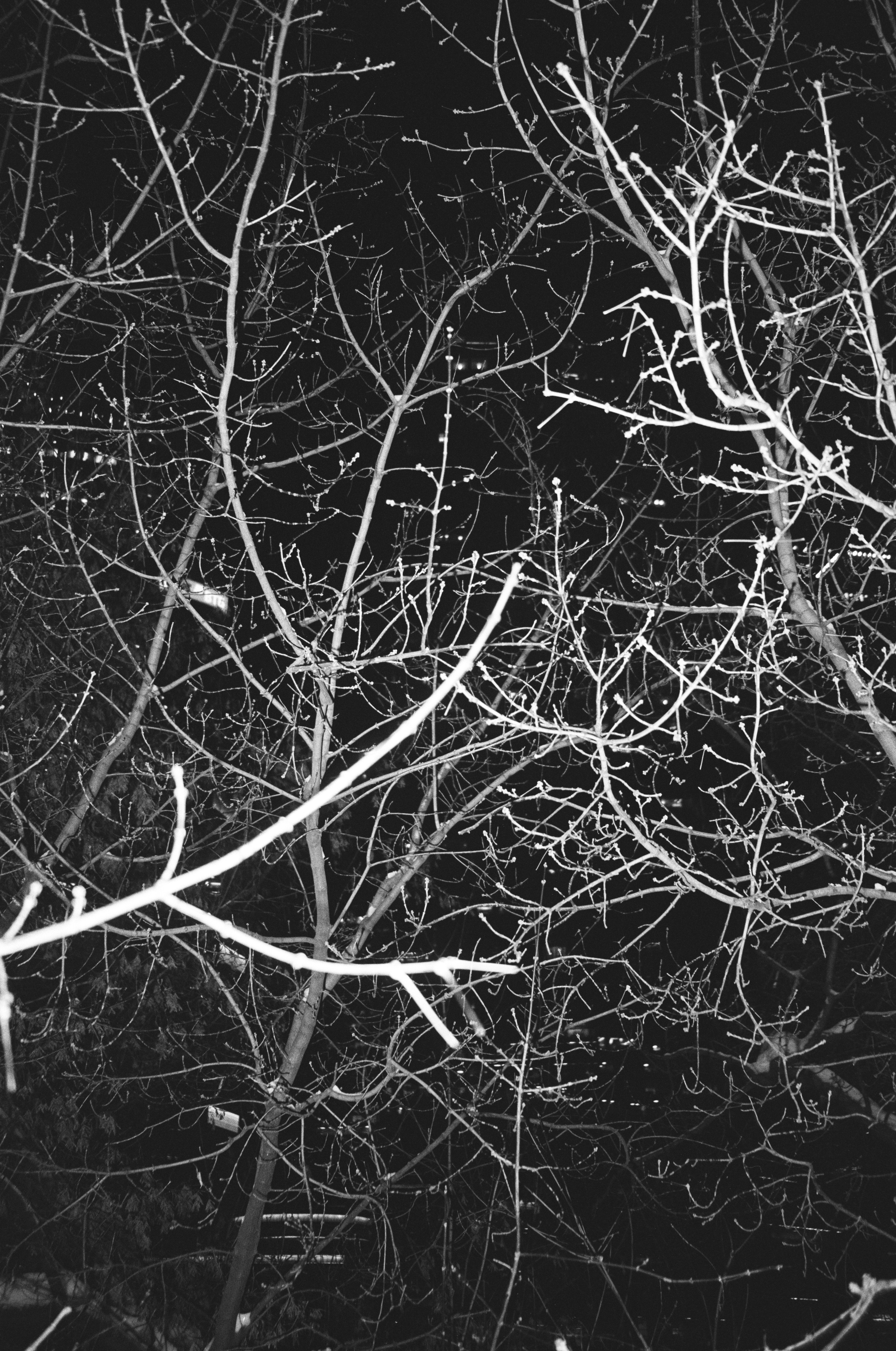 Grain. Artem Khusainov