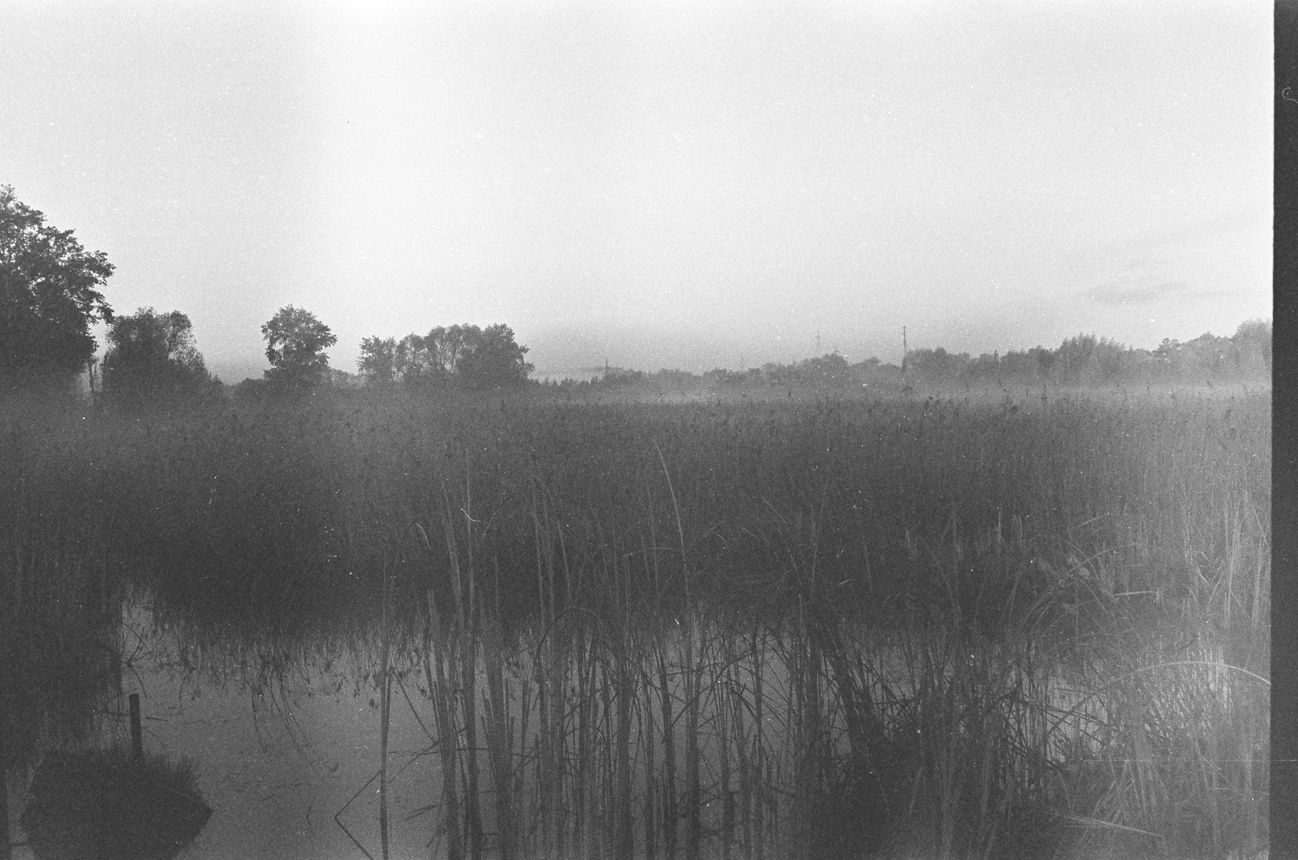 На пленку. Фотограф Настя | Экспедиции и лайфстайл