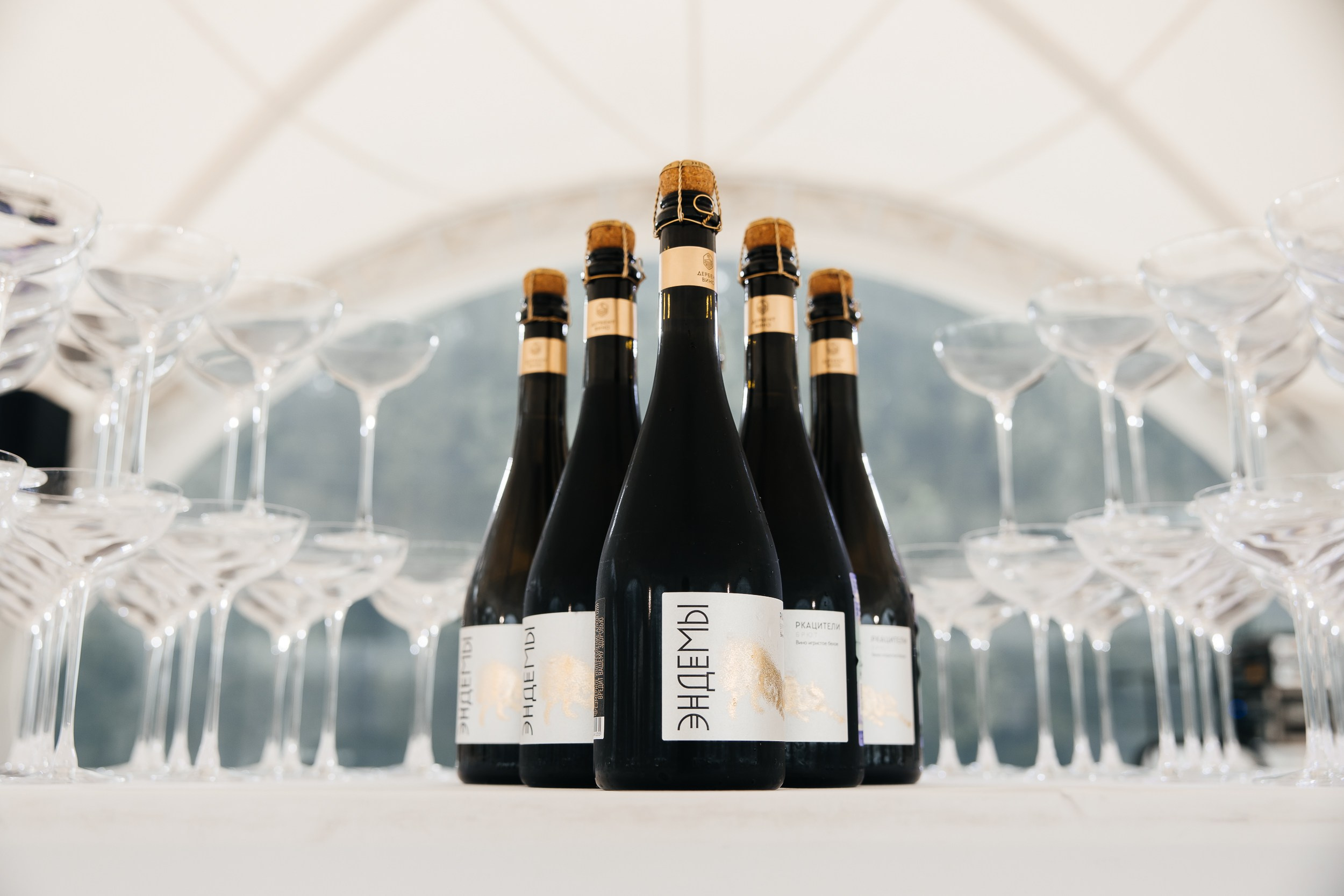 Регаты. Репортажный и свадебный фотограф Катерина Потапова