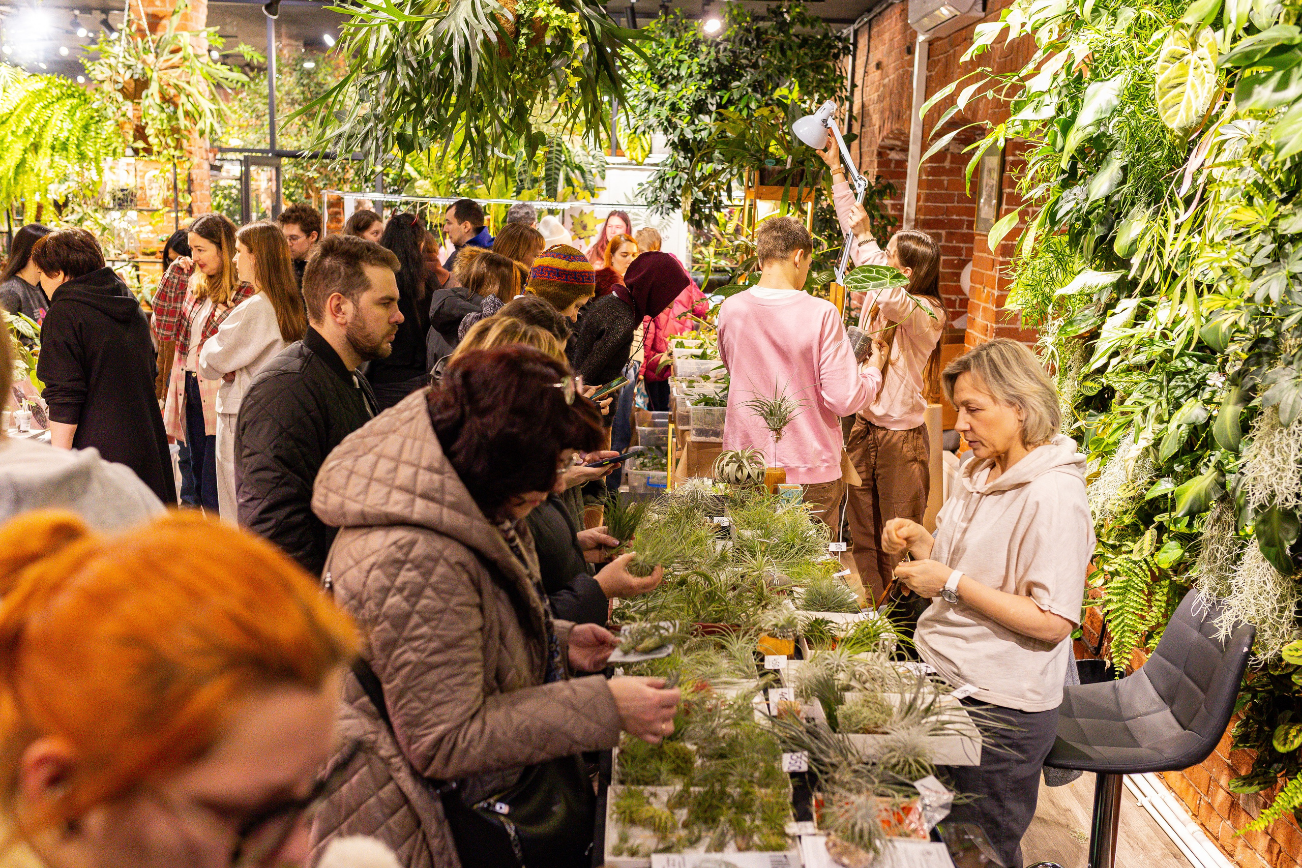 Green_Rare Ярмарка февраль 2025. Александра Куликова фотограф, Москва
