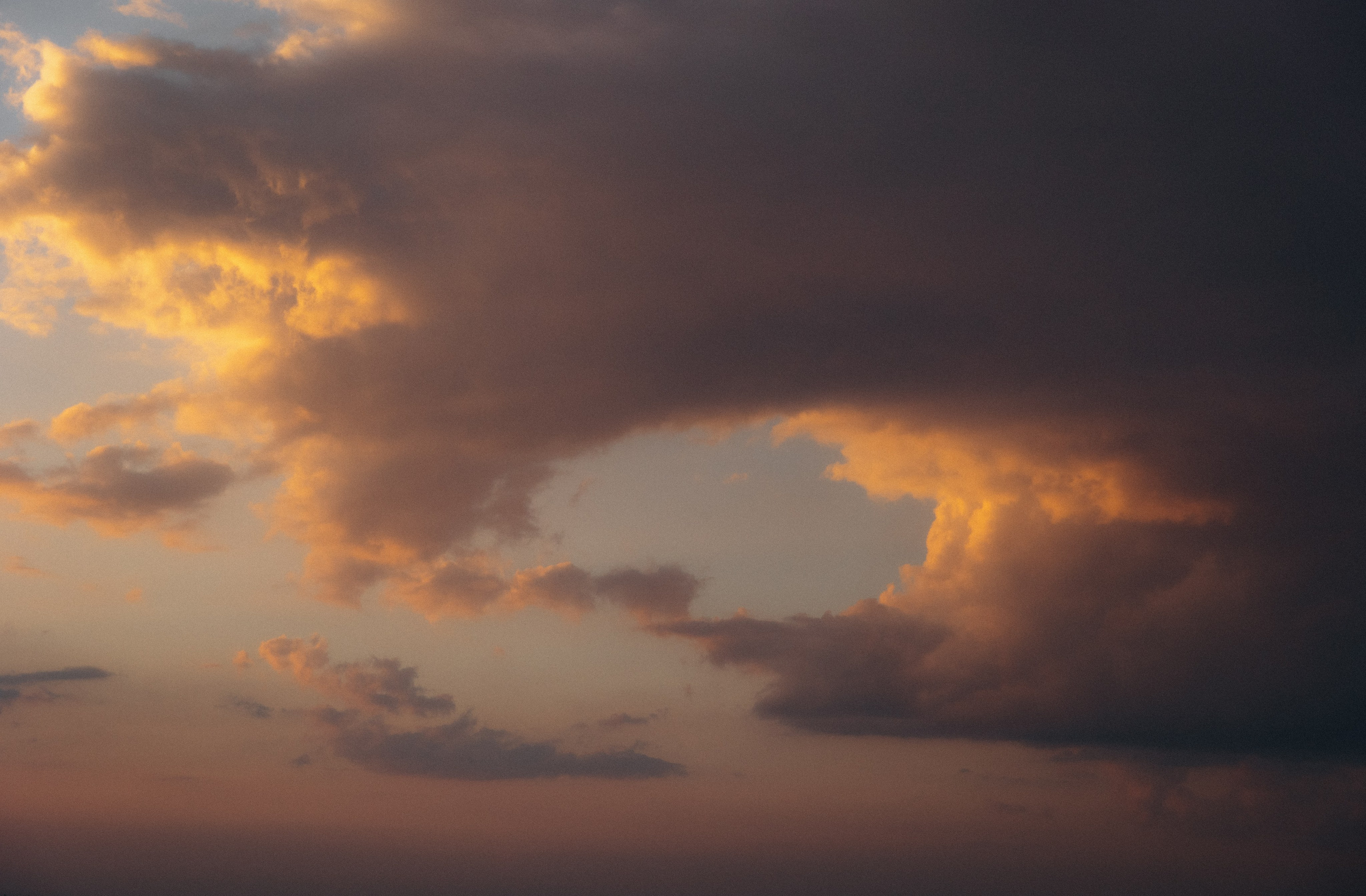 Анастасия и Алексей. Алена Бадамшина — свадебный фотограф Воронеж / Москва