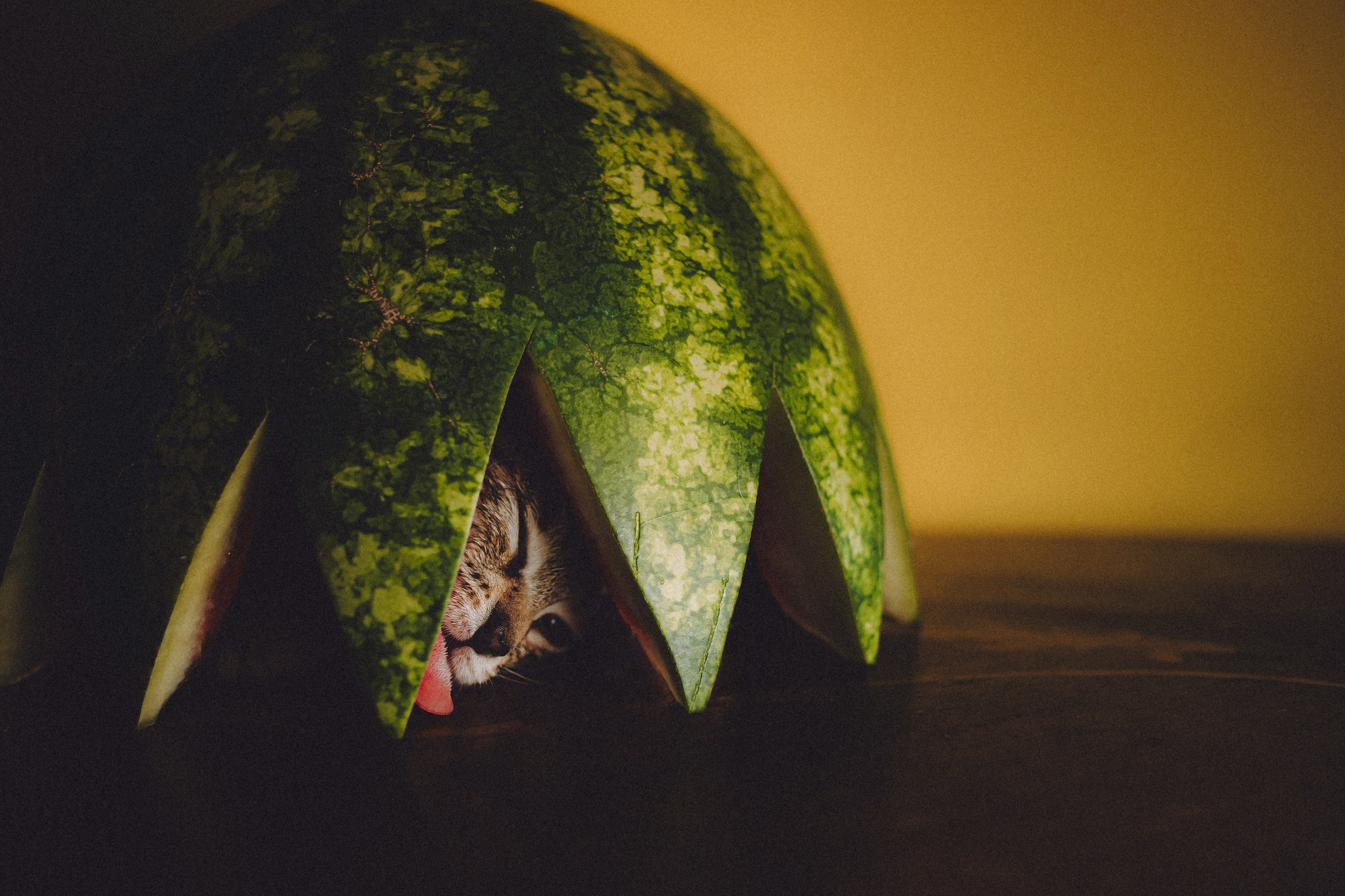 Сирена и арбуз