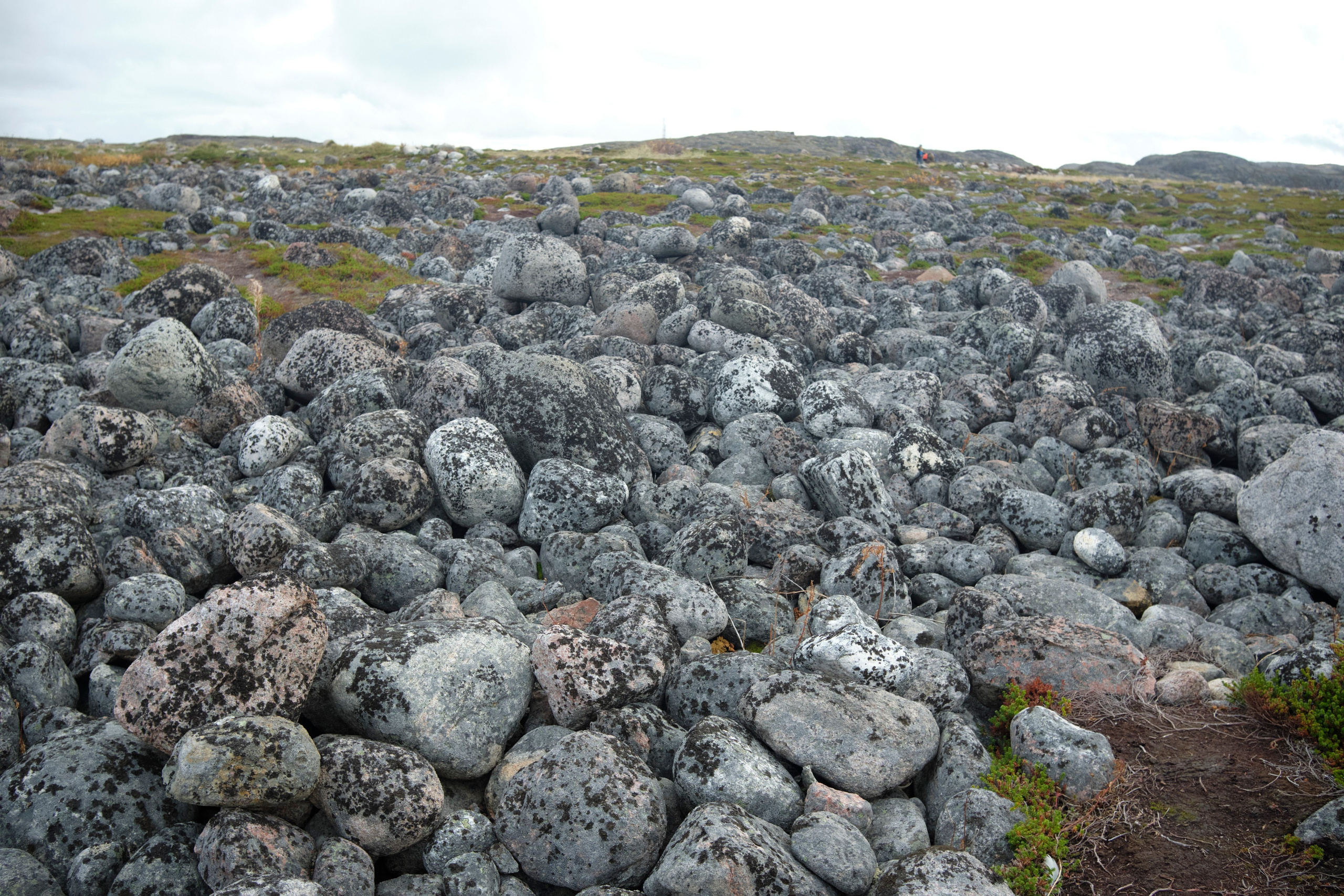 Путешествие в Териберку. Елена Павленко. Фотограф. Москва